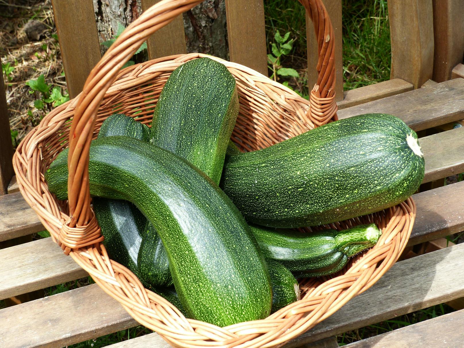 Zucchinis zählen auch zur Familie der Kürbisse.