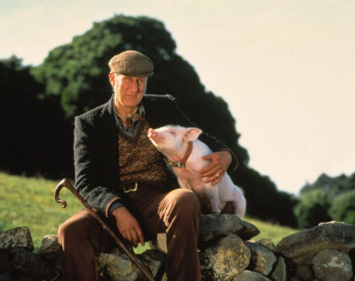 Babe (1995)
