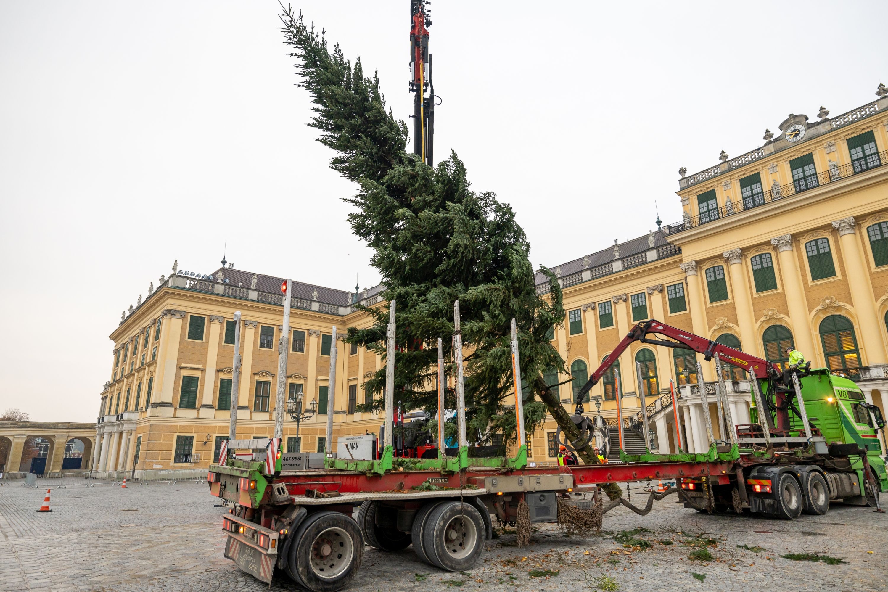 Knapp 100 Jahre wuchs der Baum auf seinen großen Moment hin - nun ist die Tanne der Star am Christkindlmarkt