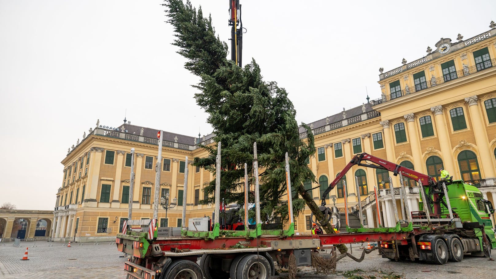 O Tannenbaum – Wiens erster Christbaum steht schon