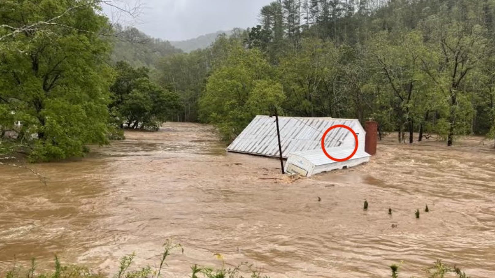 Vom davon treibenden Familien-Wohnwagen rettete sich "Blanco" aufs Nachbarhaus, dann stürzte er ins Wasser.