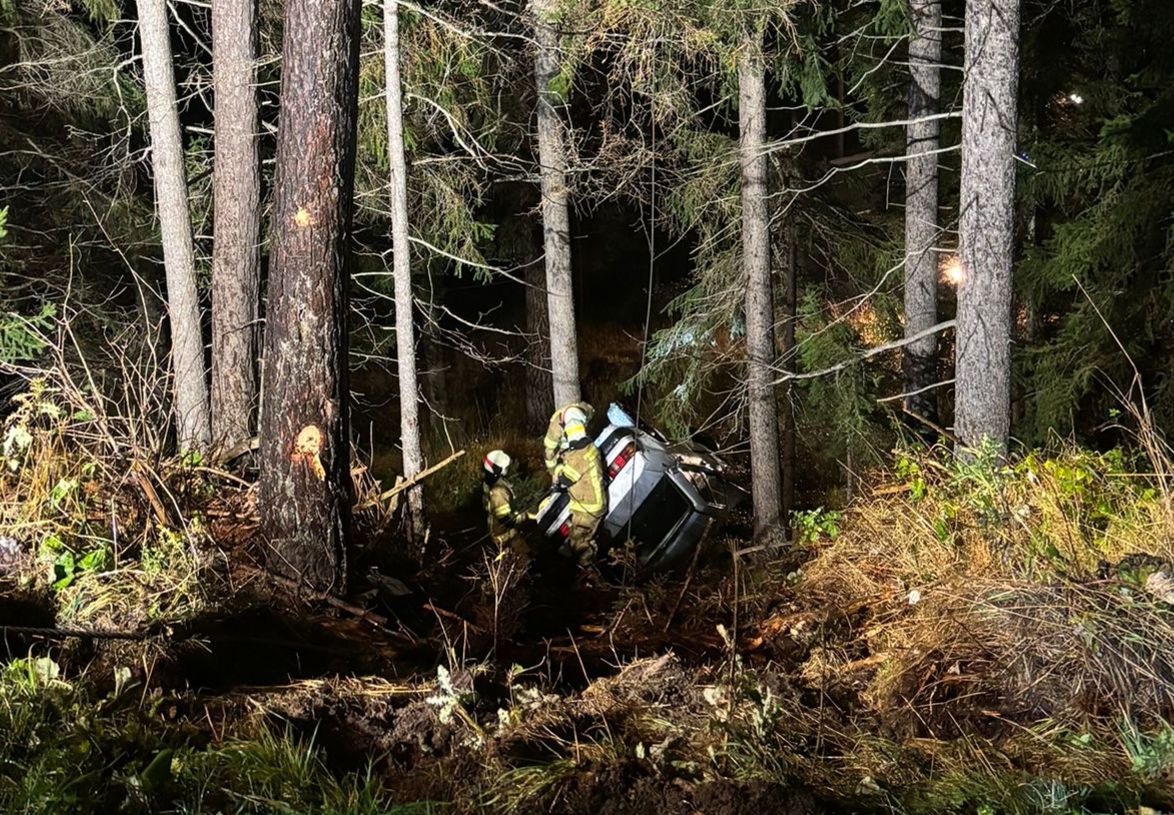 Der Autofahrer stürzte in ein Waldstück ab.