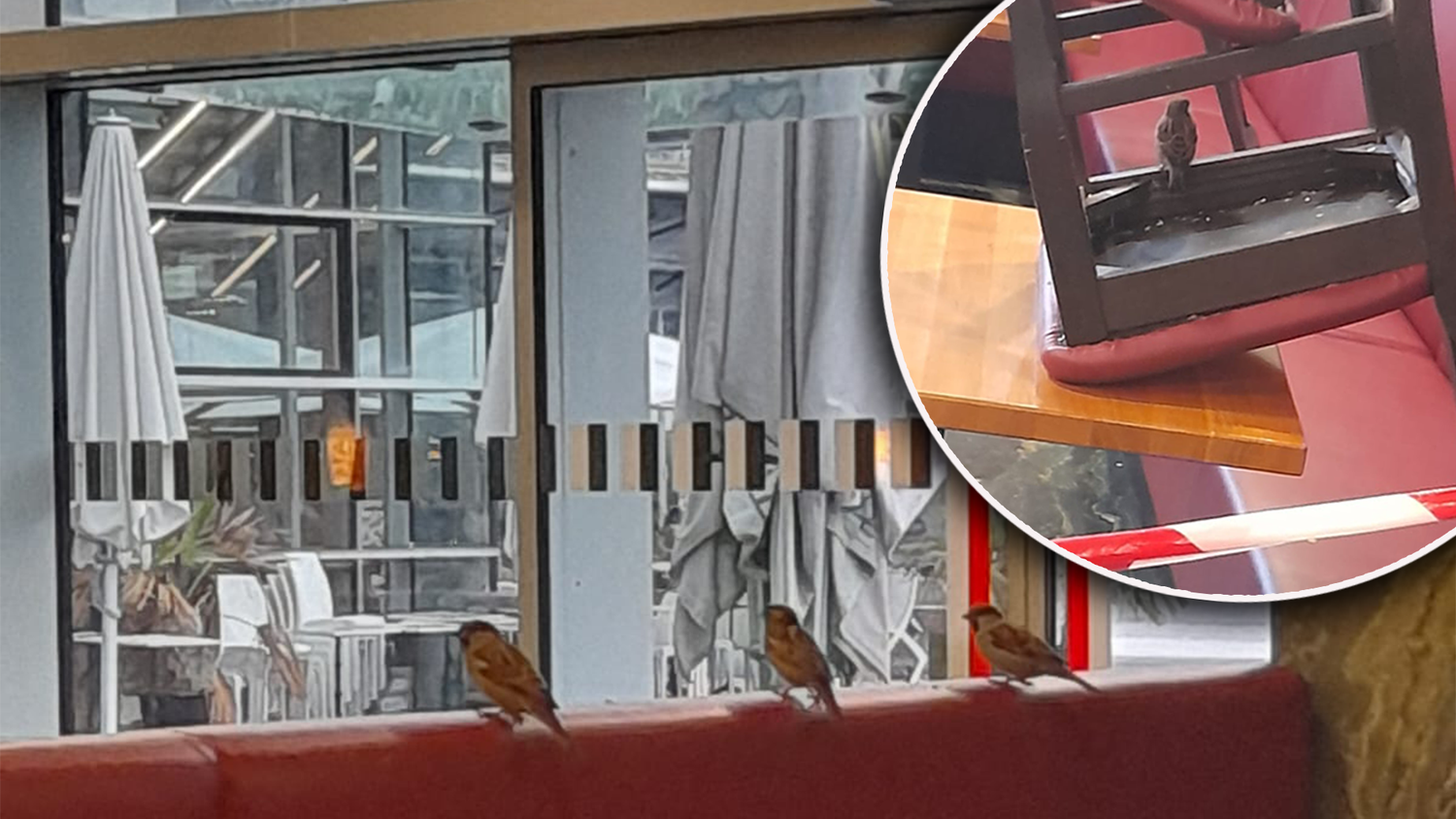 Am Grazer Hauptbahnhof machte ein 