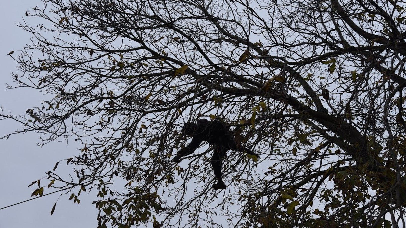 Die Polizei musste auch mit Unterstützung der Feuerwehr eine Frau von einem Baum retten, sie war auf diesen geklettert und wollte so die Rodung verhindern.