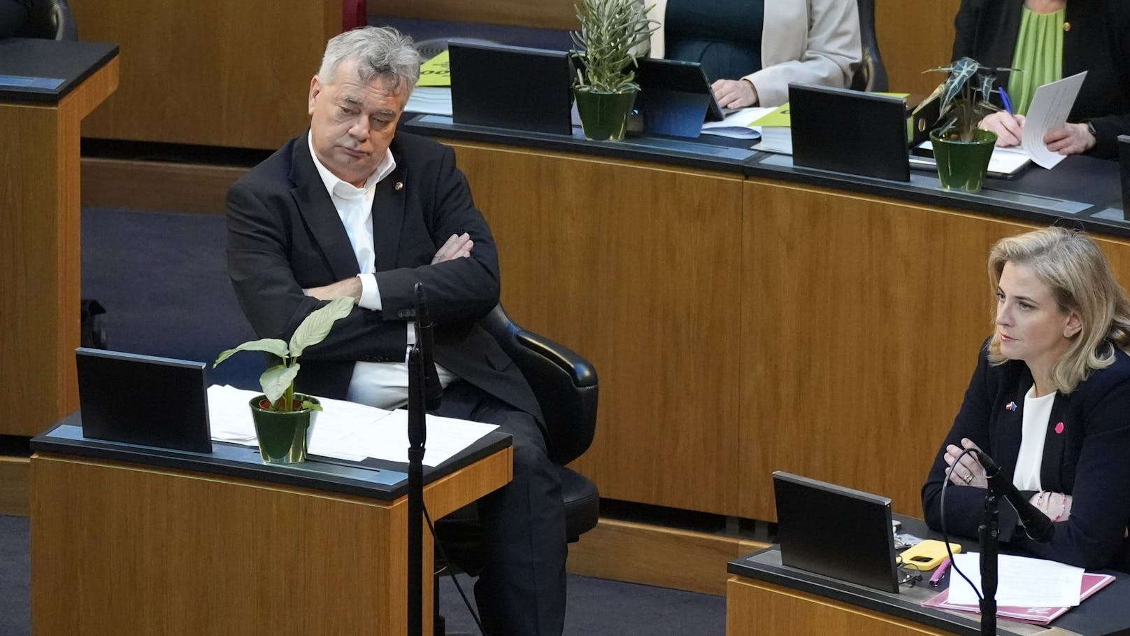 Grüne-Chef Werner Kogler sorgte in der Sitzung für Tumulte.