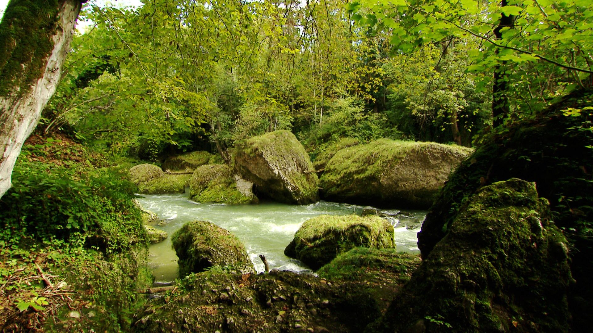 Naturparadies Erlaufschlucht: 