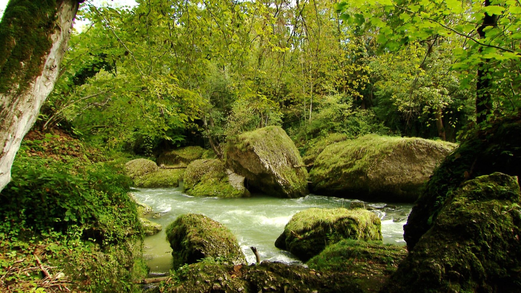 Erlebnis Österreich - Schluchten, Klammen, Wasserfälle - Wilde Wasser in NÖ - Die "Wilden Wasser" gibt es auch in Niederösterreich in großer Zahl. Schluchten, Klammen, Wasserfälle - ein "Erlebnis Österreich" aus dem ORF Landesstudio Niederösterreich zeigt einige ausgewählte, besonders sehenswerte Beispiele. Dabei sind sowohl die Geologie als auch Flora und Fauna der Regionen ein Thema. Woher hat das Höllental zwischen Rax und Schneeberg im südlichen Niederösterreich seinen Namen? Warum ist das Wasser der Erlaufschlucht im Mostviertel so grün? Wozu diente einst die Toreckklamm im Naturpark Ötscher-Tormäuer? Diesen und weiteren Fragen ist das Team rund um Gestalterin Karina Fibich nachgegangen. - Im Bild: Erlaufschlucht. Foto: ORF/ORF-NÖ. Veröffentlichung honorarfrei nur für redaktionelle Berichterstattung in Sendungszusammenhang und mit Copyrightangabe. Kontakt: foto@orf.at