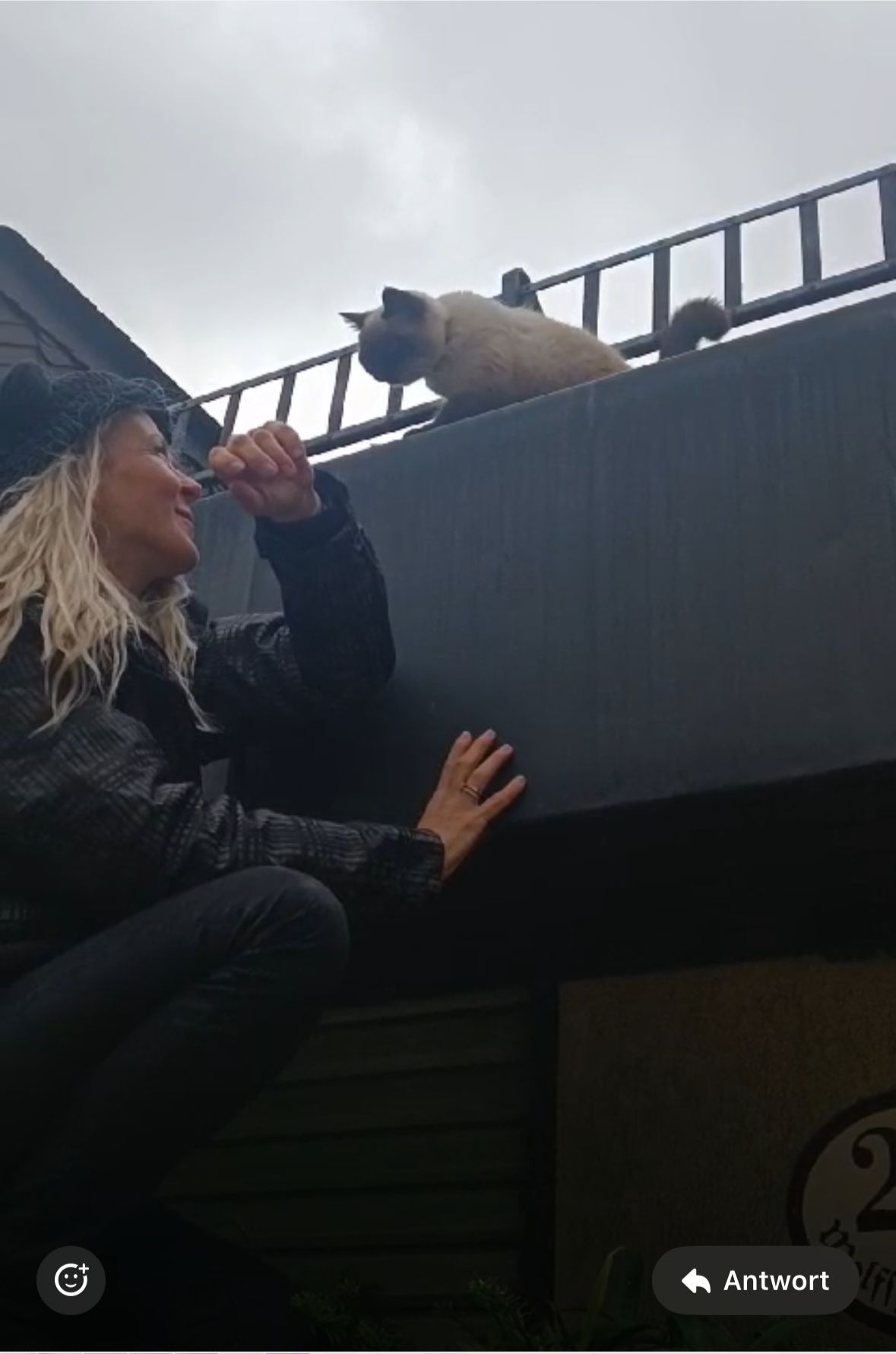 Simone Lugner musste ihre Katze Nyo aus der Regenrinne vom Dach befreien.