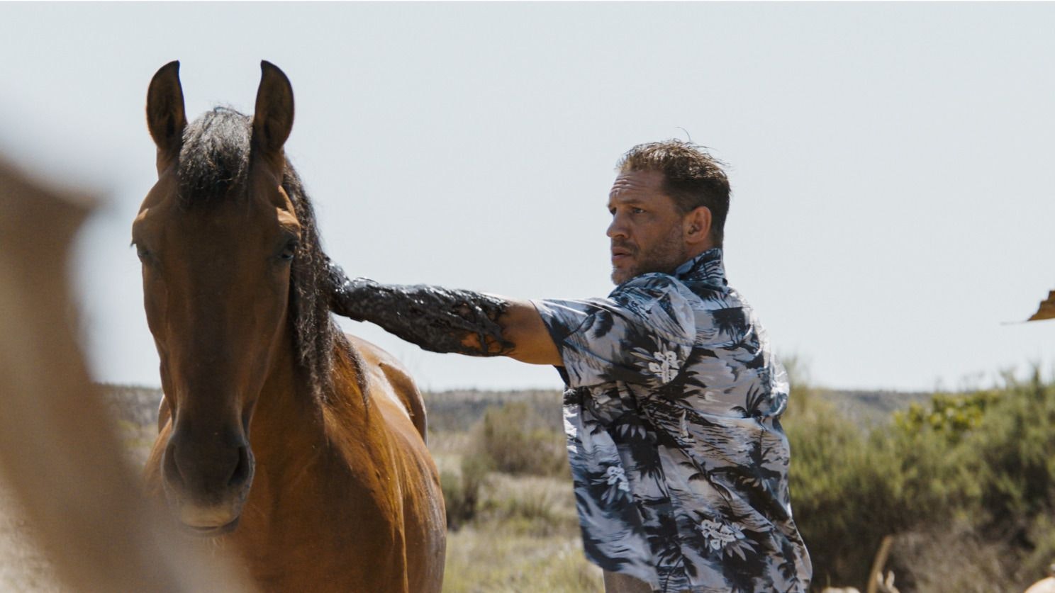 Hat ein Händchen für Tiere: Eddie Brock (Tom Hardy), der sich mit dem Wesen Venom seinen Körper teilt