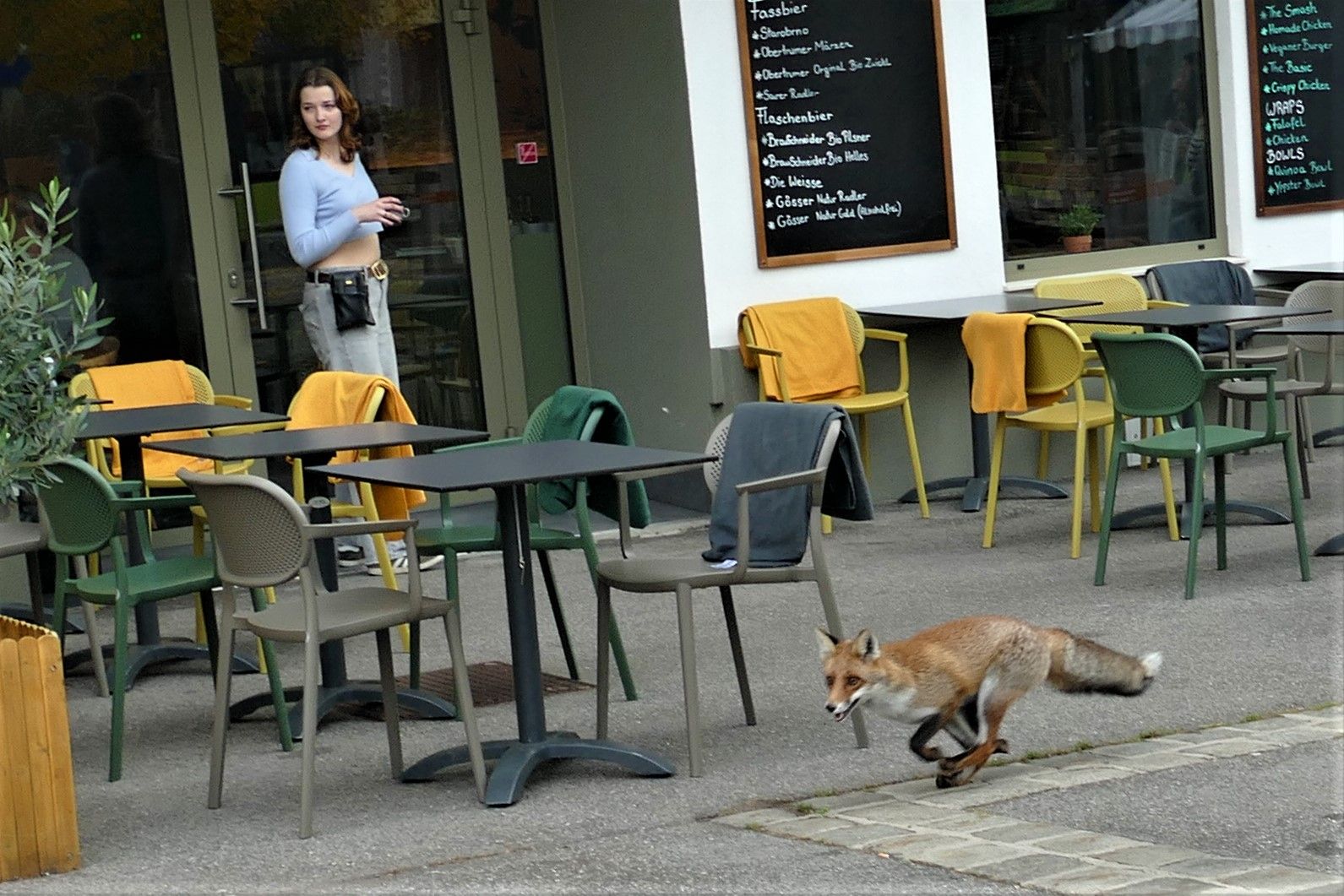 Ein frecher Fuchs sauste am Freitag zur Mittagszeit über den Wiener Brunnenmarkt in Ottakring.