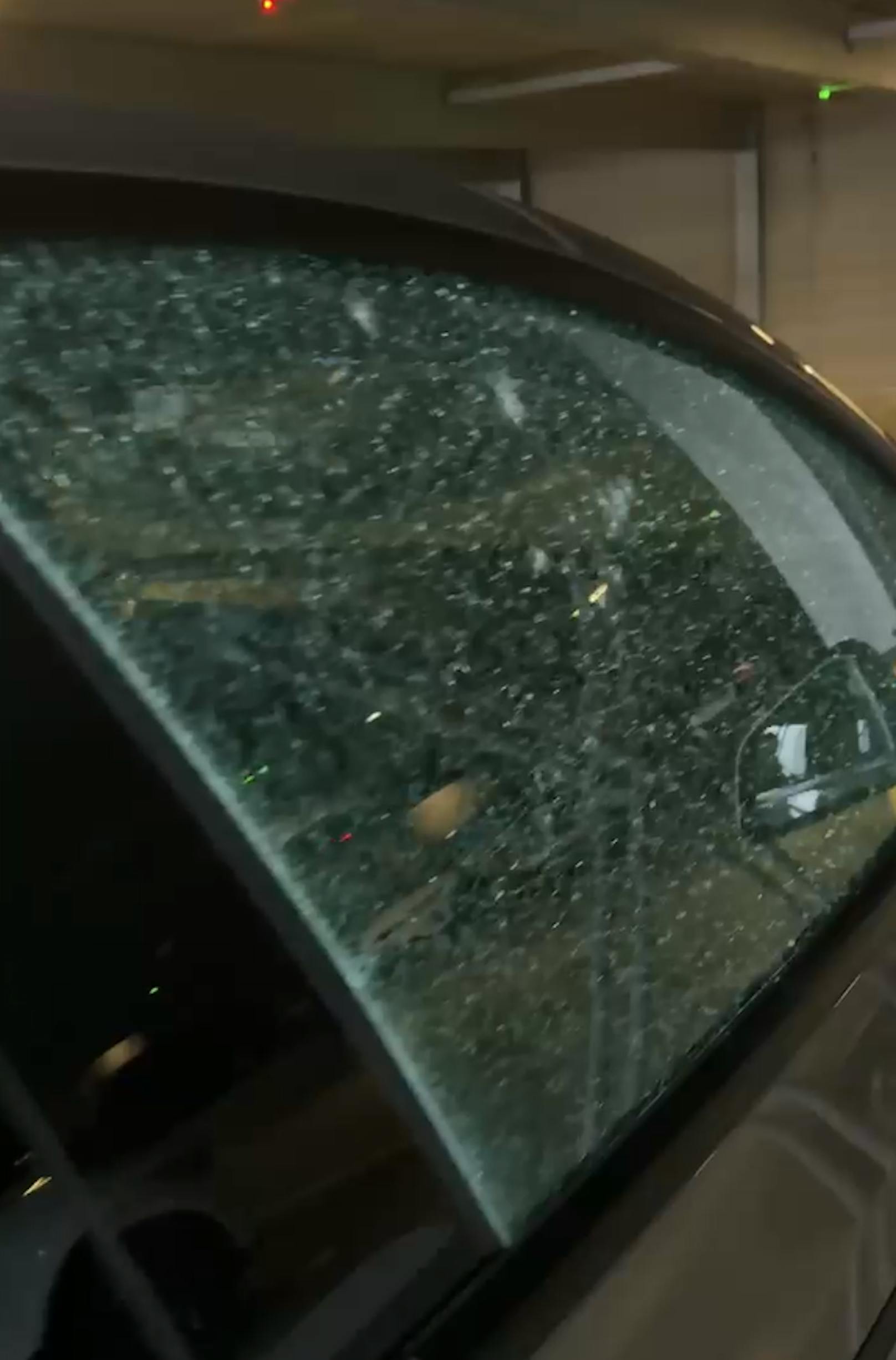 In der Nacht auf Freitag trieb eine bislang unbekannte Täterschaft in der Parkgarage "Hauptbahnhof Ost" in der Maria-Lassnig-Straße im 10. Wiener Bezirk ihr Unwesen.