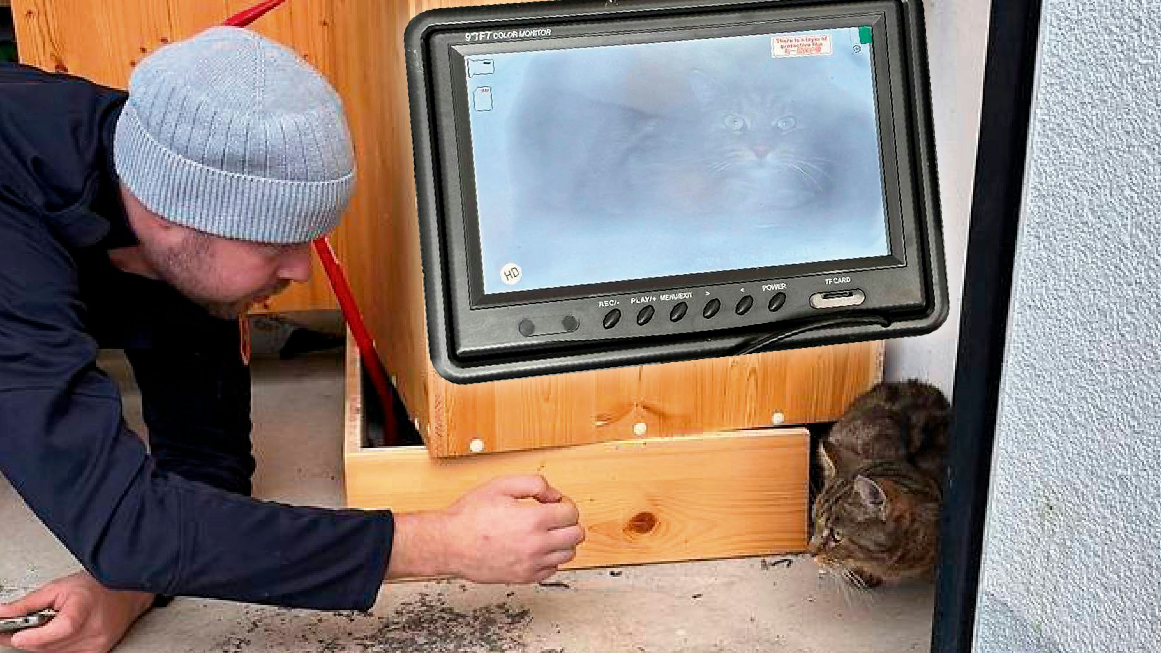 Heute.at - 3 Wochen hinter Schrank – Schnurli wog nur 2,5 Kilo!