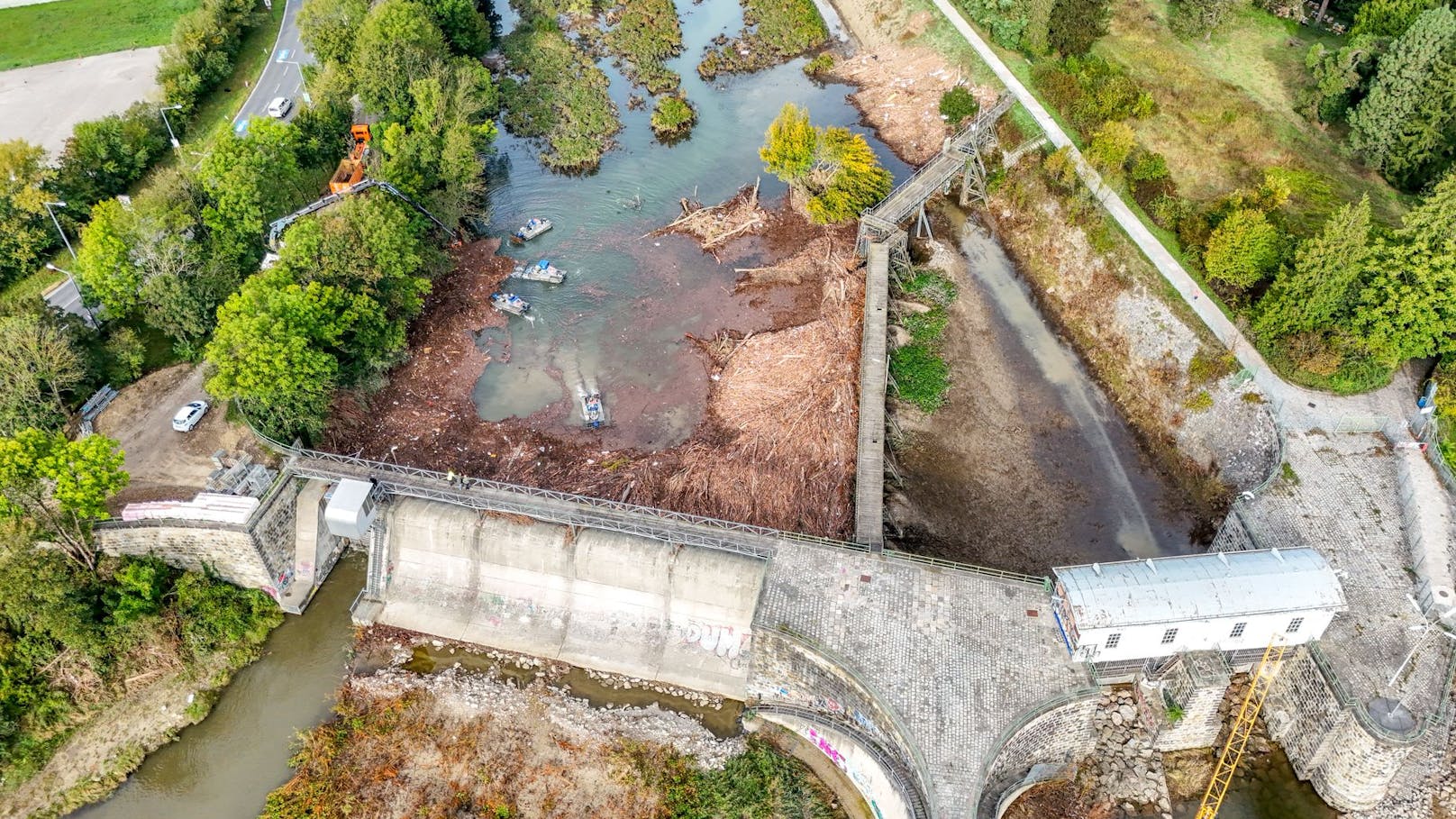 Angespültes Schwemmgut bei den Auhof-Becken.