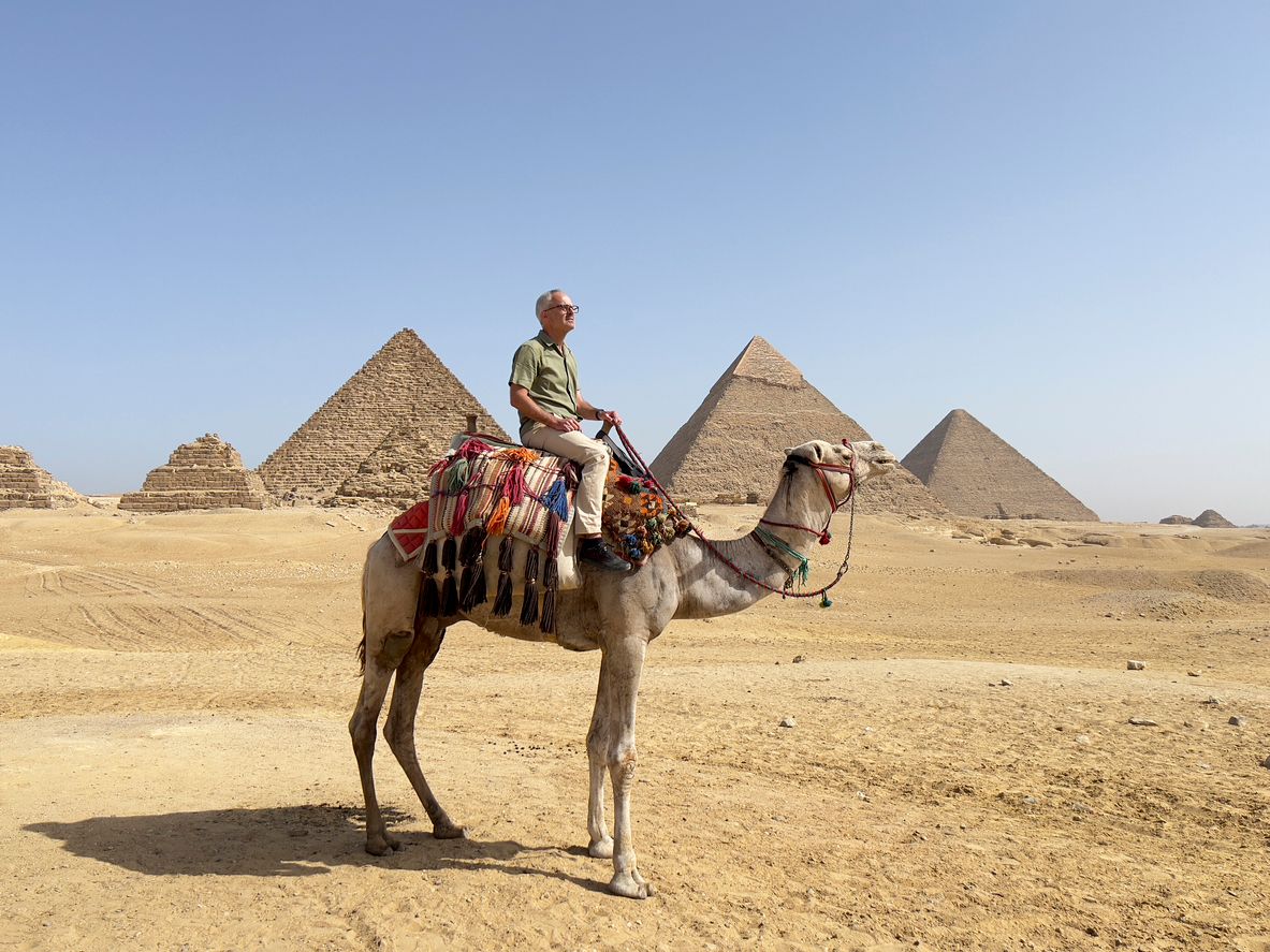 Ein neues Tierschutz-Programm soll sich vor allem den Kamelen und Pferden in Gizeh, Ägypten widmen.