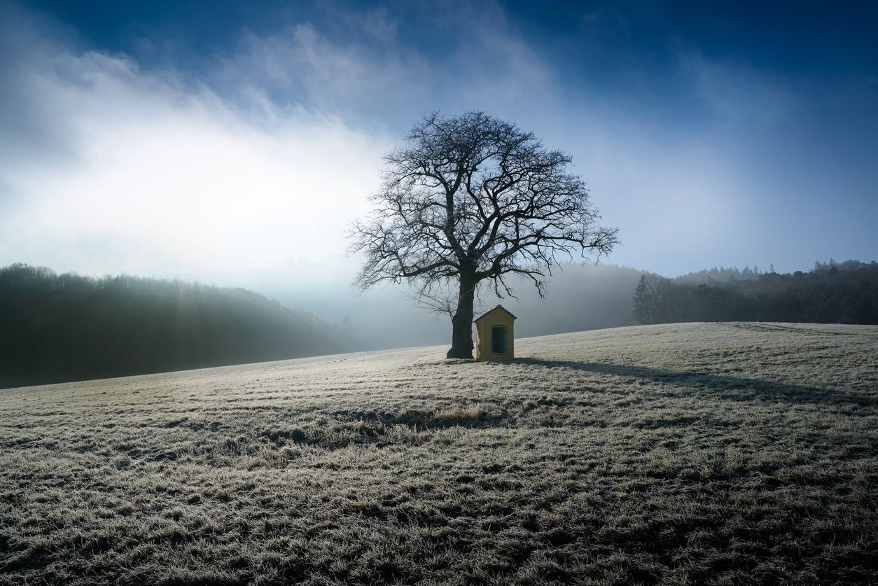 Ein frostiger Sonnenaufgang auf dem Hiesberg in Niederösterreich. Archivbild.