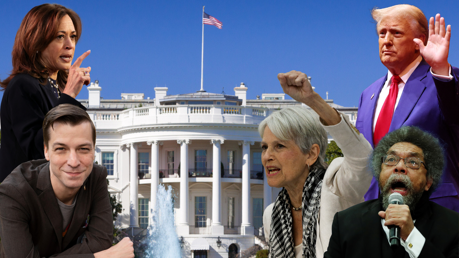 Überrascht? Eine Ärztin, ein Professor und ein Aktivist treten ebenfalls bei der US-Wahl an.