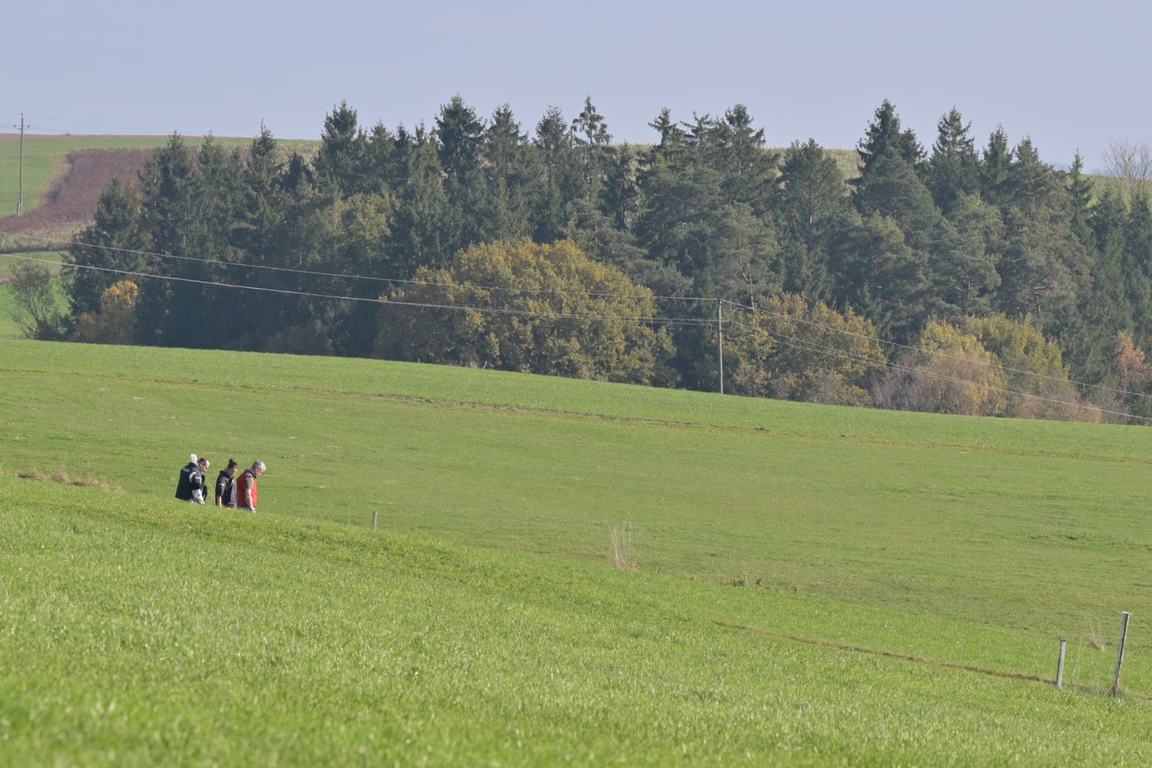 Franz Hofer, Bürgermeister von Kirchberg (Bez. Rohrbach), wurde auf dieser Wiese erschossen.