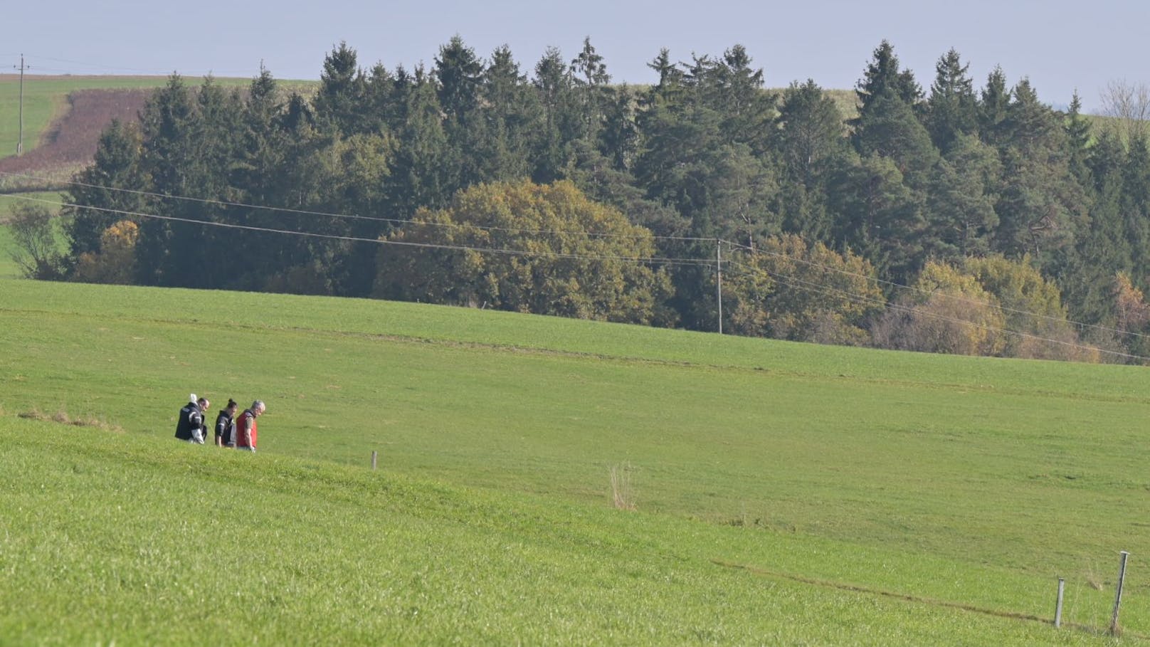 Ortschef getötet: Auf dieser Wiese geschah die Bluttat