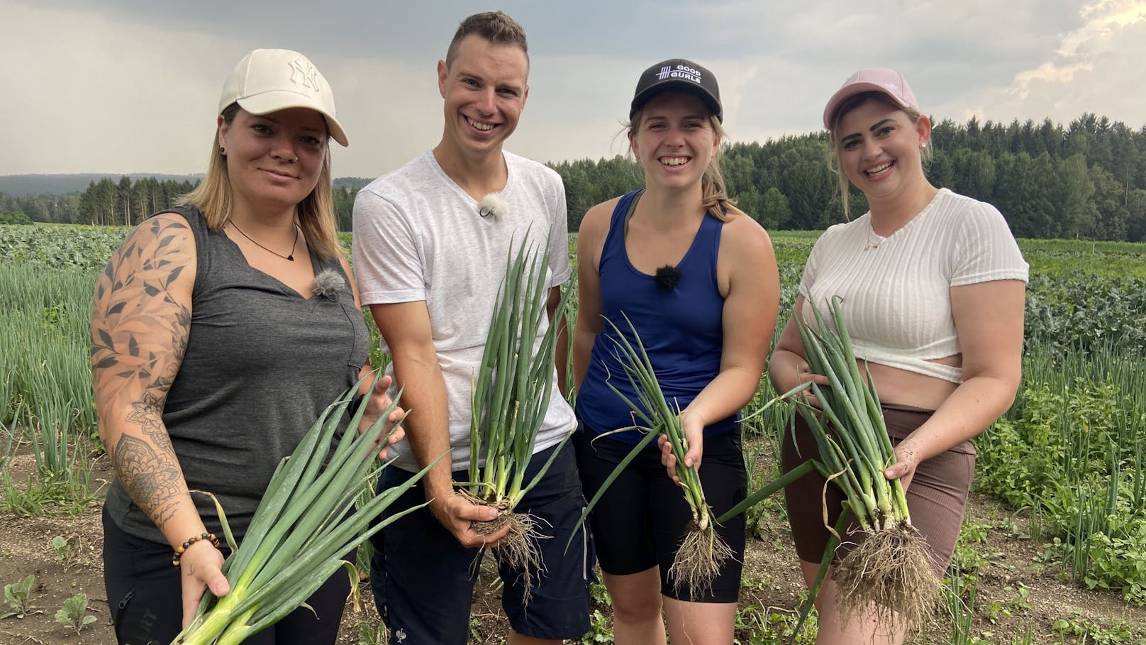 Beim sportlichen Waldviertler Stefan startet der zweite Tag der Hofwoche. Gemeinsam mit seinen Hofdamen Lena, Kerstin und Vanessa geht es aufs Feld zur Frühlingszwiebelernte.