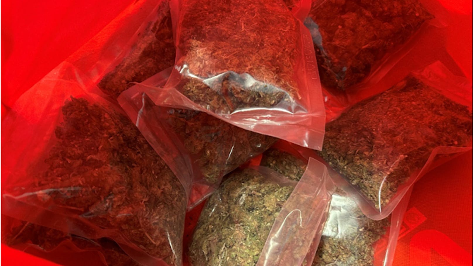 Dealer vercheckten fast 50 Kilo Drogen – gefasst