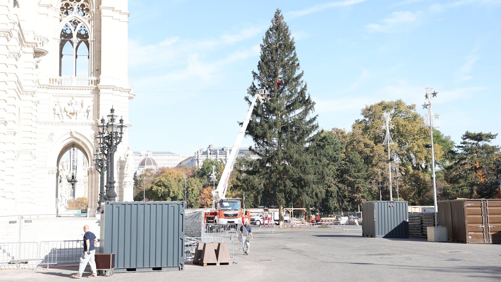 Der Wiener Christbaum stammt heuer aus Rastenfeld  in Niederösterreich. Was auffällt: Er ist von dichtem Wuchs und eine echte Schönheit. Daswar in der Vergangenheit nicht immer so.