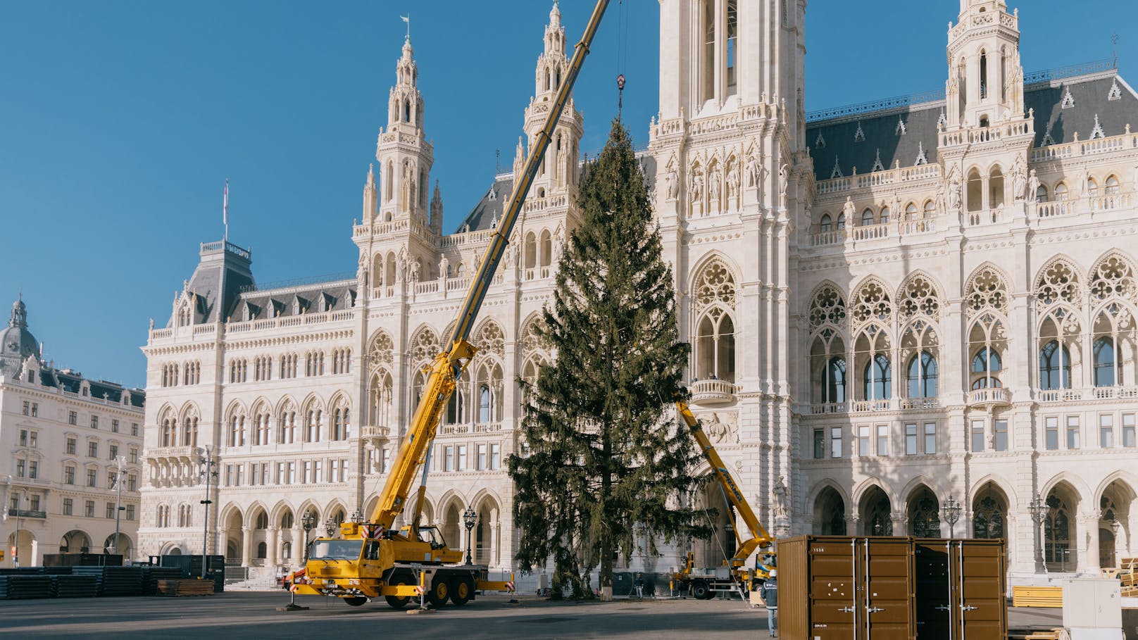 Der Wiener Christbaum wurde am Dienstag in der Früh nach Wien gebracht und bei Nacht und Nebel aufgestellt.