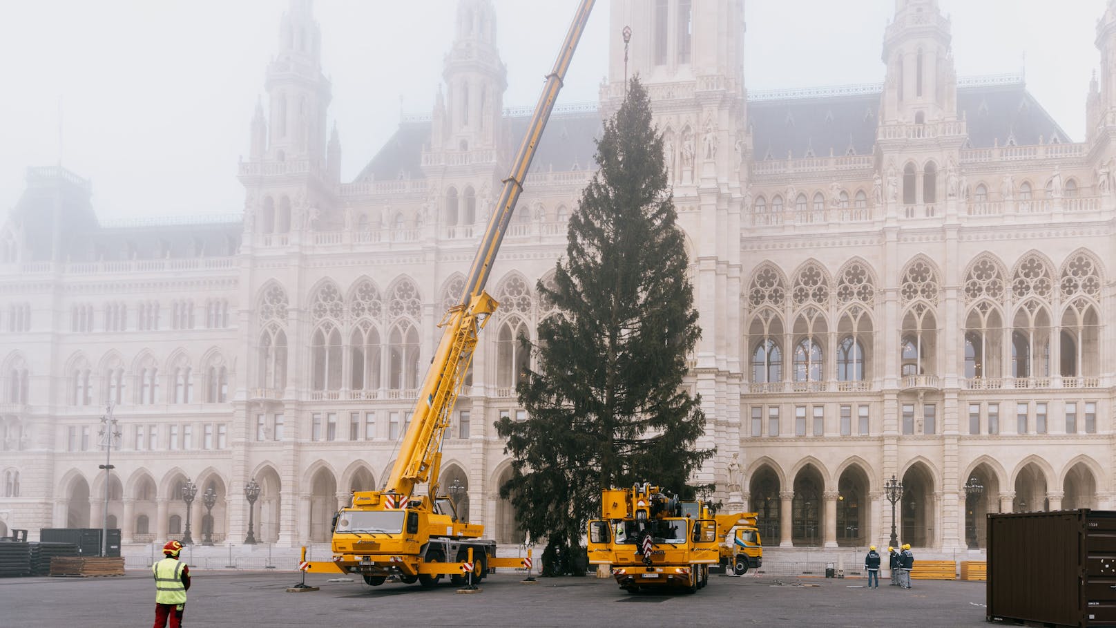 Der Wiener Christbaum wurde am Dienstag in der Früh nach Wien gebracht und bei Nacht und Nebel aufgestellt.