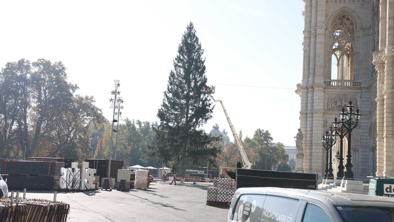 Der Wiener Christbaum stammt heuer aus Rastenfeld  in Niederösterreich. Was auffällt: Er ist von dichtem Wuchs und eine echte Schönheit. Daswar in der Vergangenheit nicht immer so.