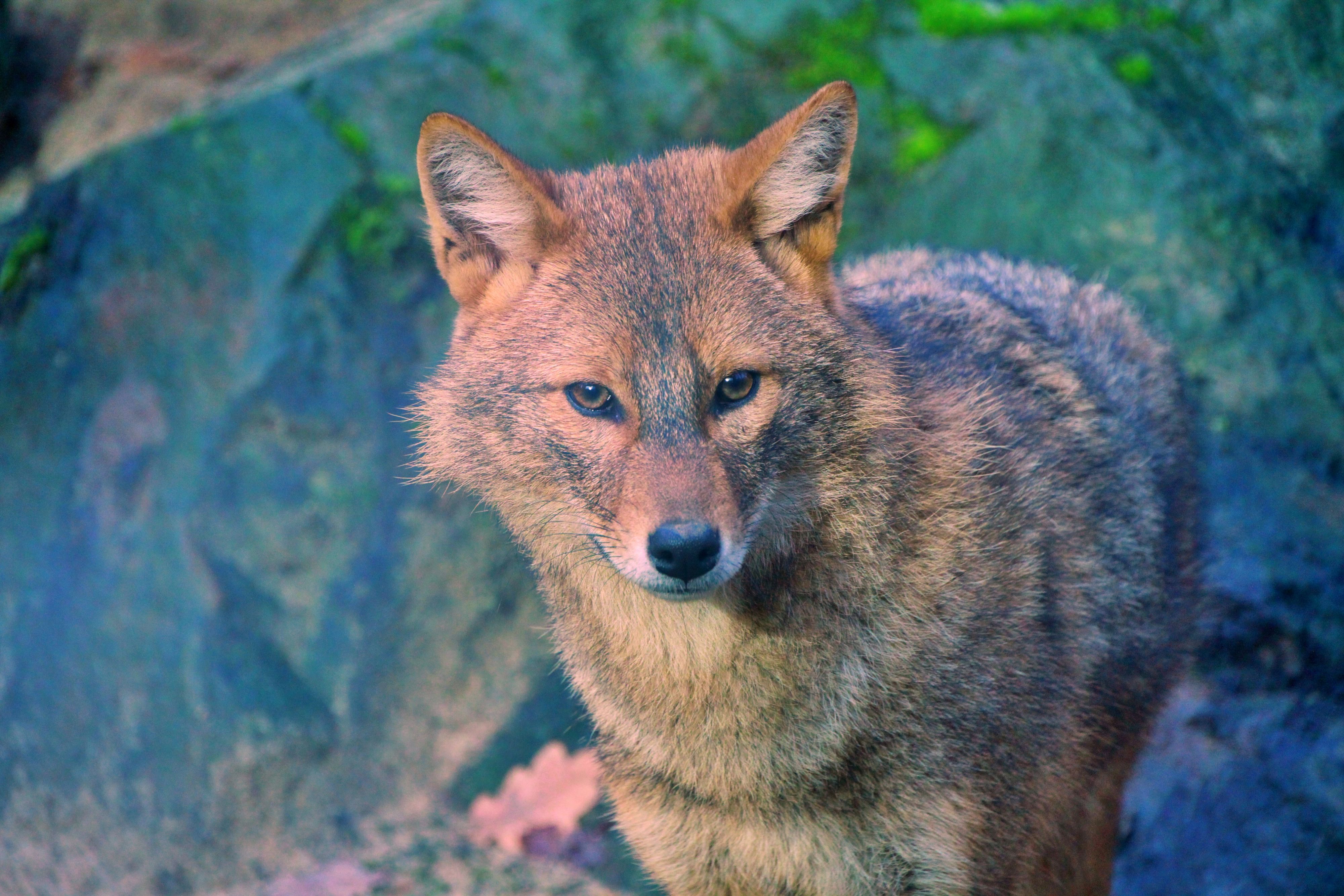 Ganz schön wählerisch: 