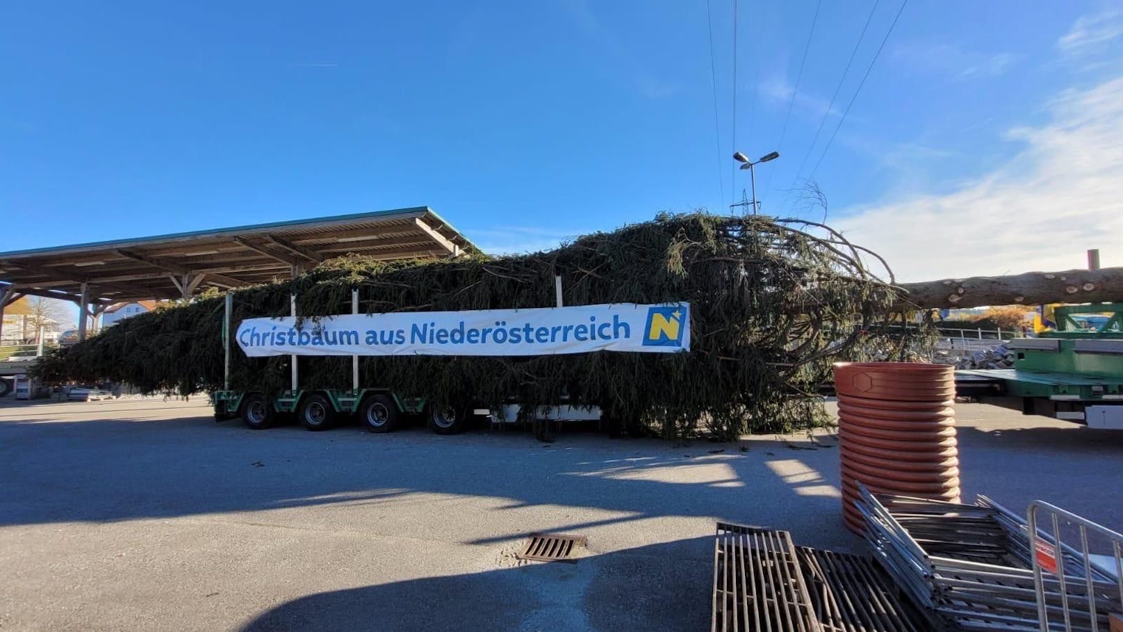 Der Wiener Christbaum wurde am Dienstag in der Früh nach Wien gebracht und bei Nacht und Nebel aufgestellt.