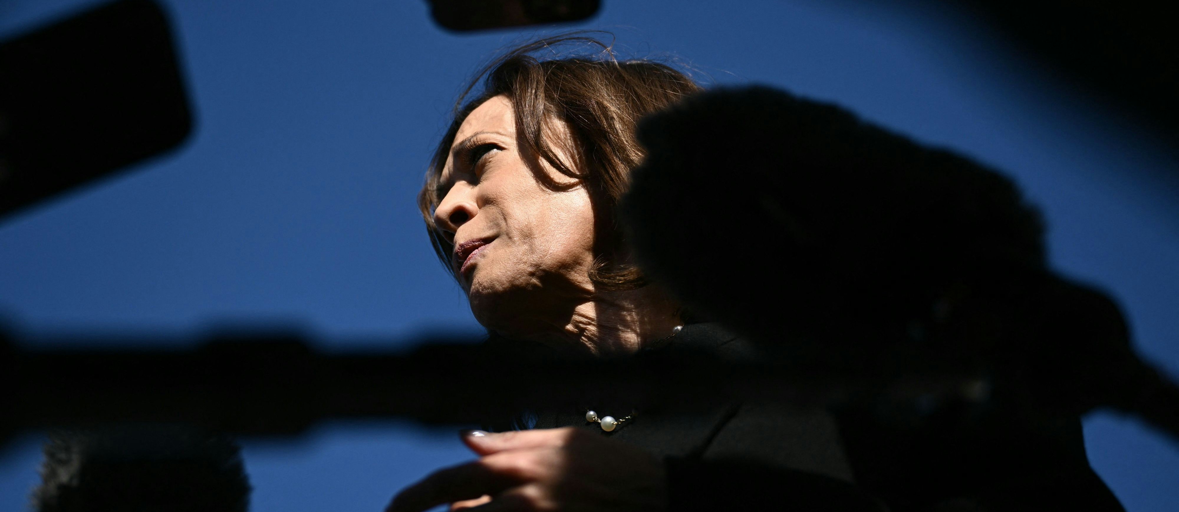 Die Wählerschaft von Kamala Harris gehört eher zu den Laubbläser-Skeptikern