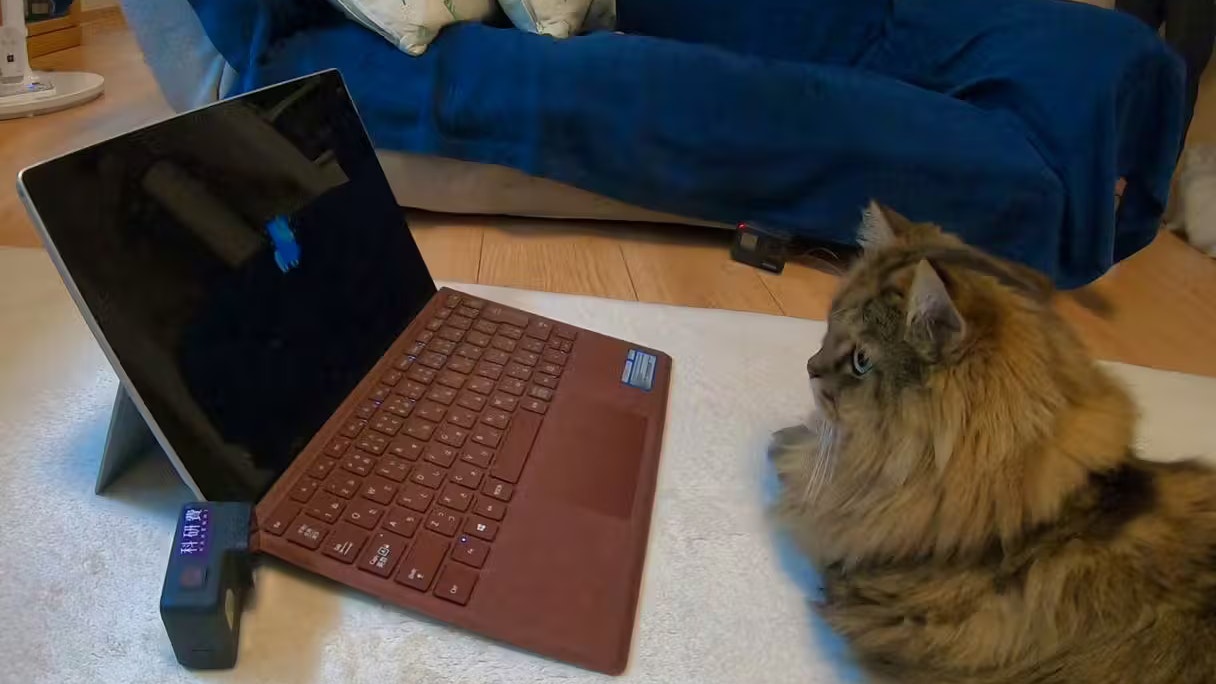 Hoch konzentrierte tierische Probanden: Es sei süß gewesen, "wie ernsthaft sie an dem Experiment teilnahmen", so Studienleiterin Saho Takagi.