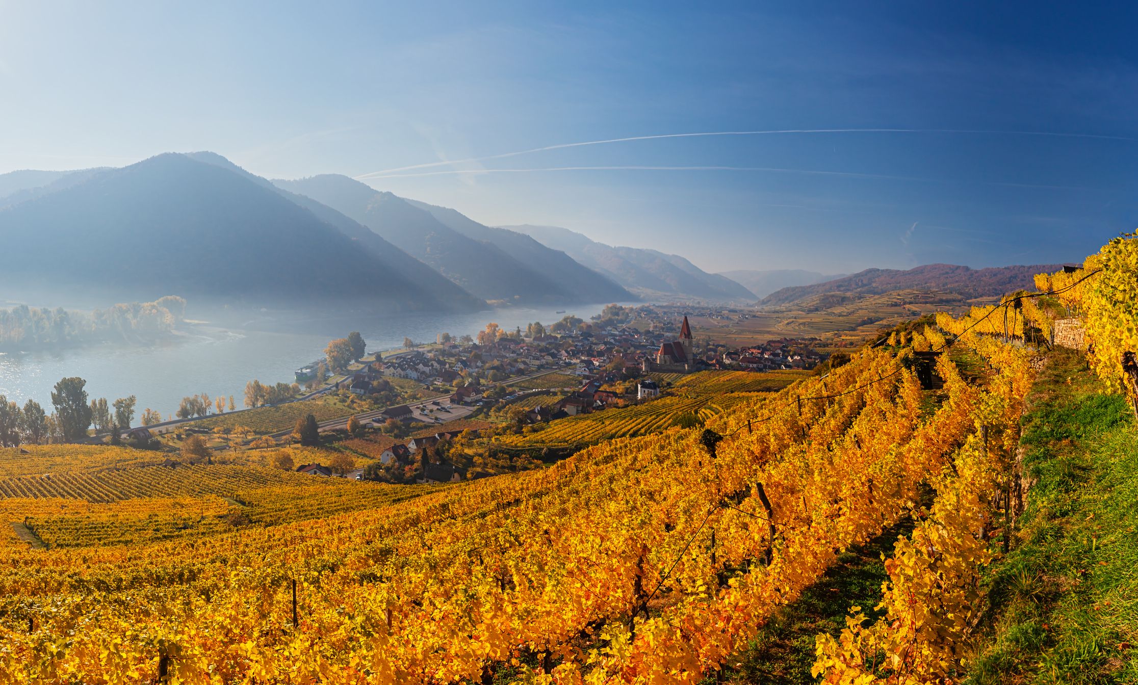 Blick über die herbstelnden Weinberge und Weißenkirchen in der Wachau auf die neblige Donau. (Archivbild)