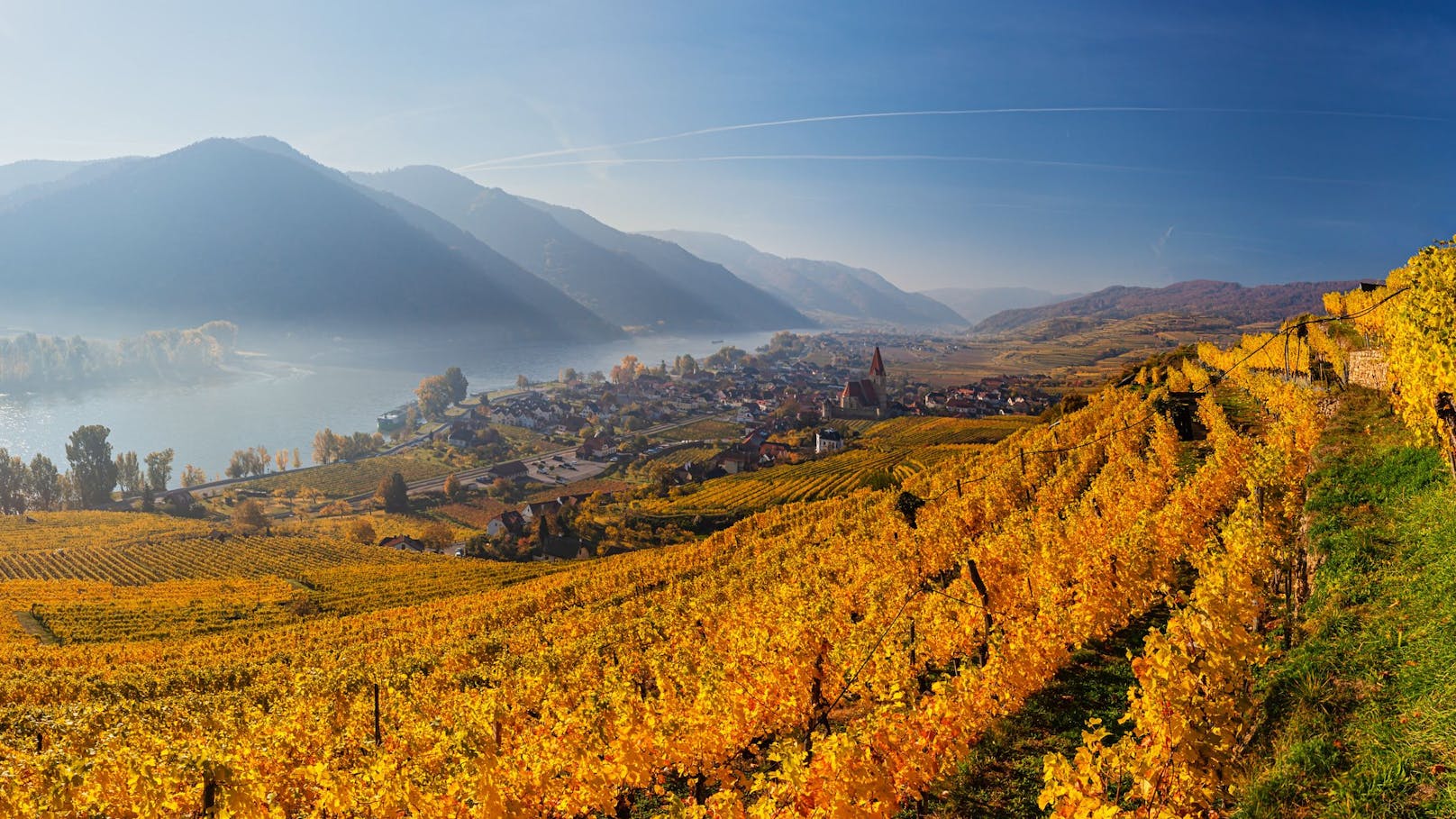 Blick über die herbstelnden Weinberge und Weißenkirchen in der Wachau auf die neblige Donau. (Archivbild)