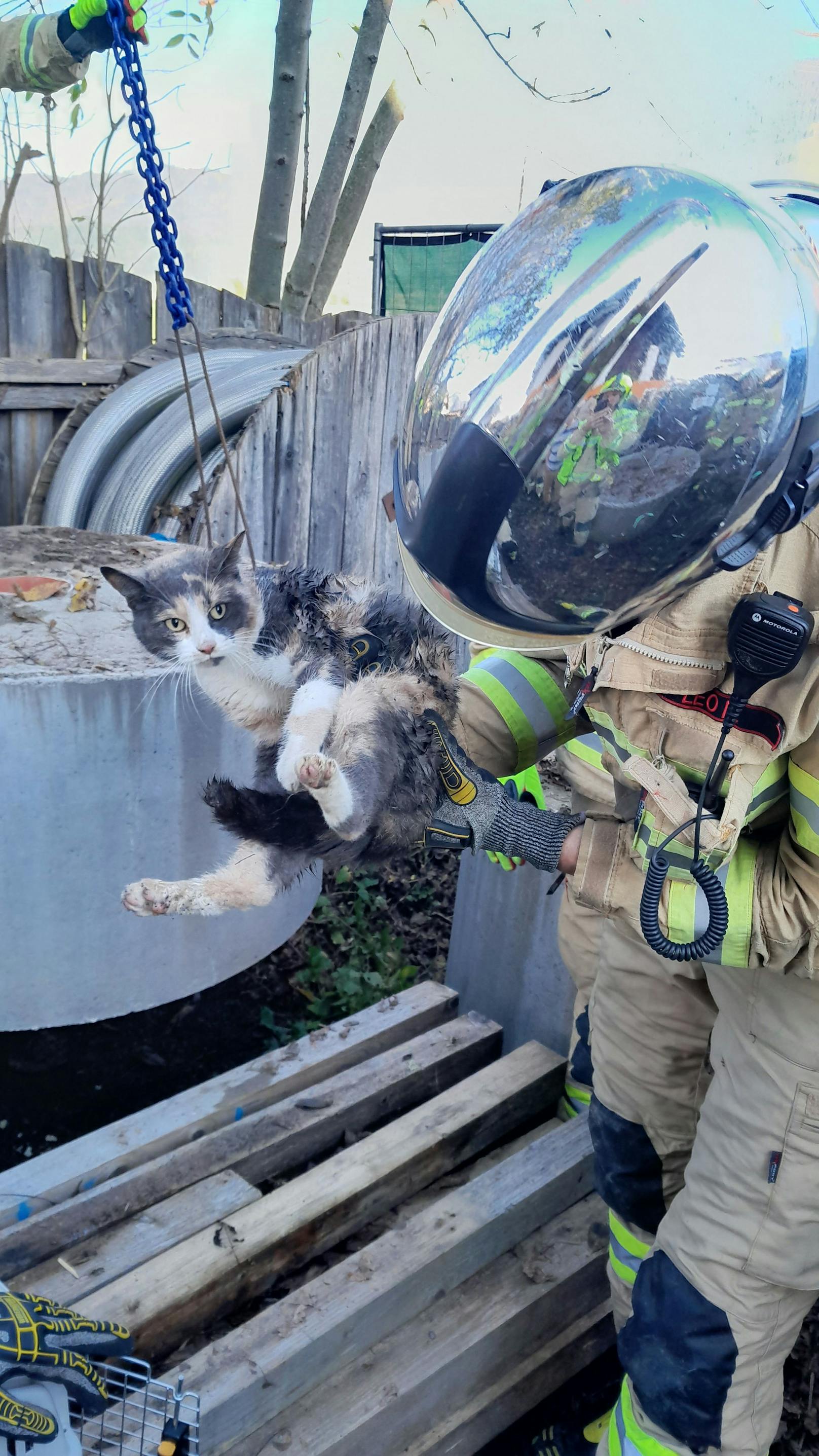 Die Neugier einer Katze könnte manchmal tragisch enden, käme da nicht der professionelle Einsatz der Freiwilligen Feuerwehr zustande, wie eine Tierrettung Dienstagnachmittag gegen 14 Uhr in Sankt Johann in Tirol aufzeigt.