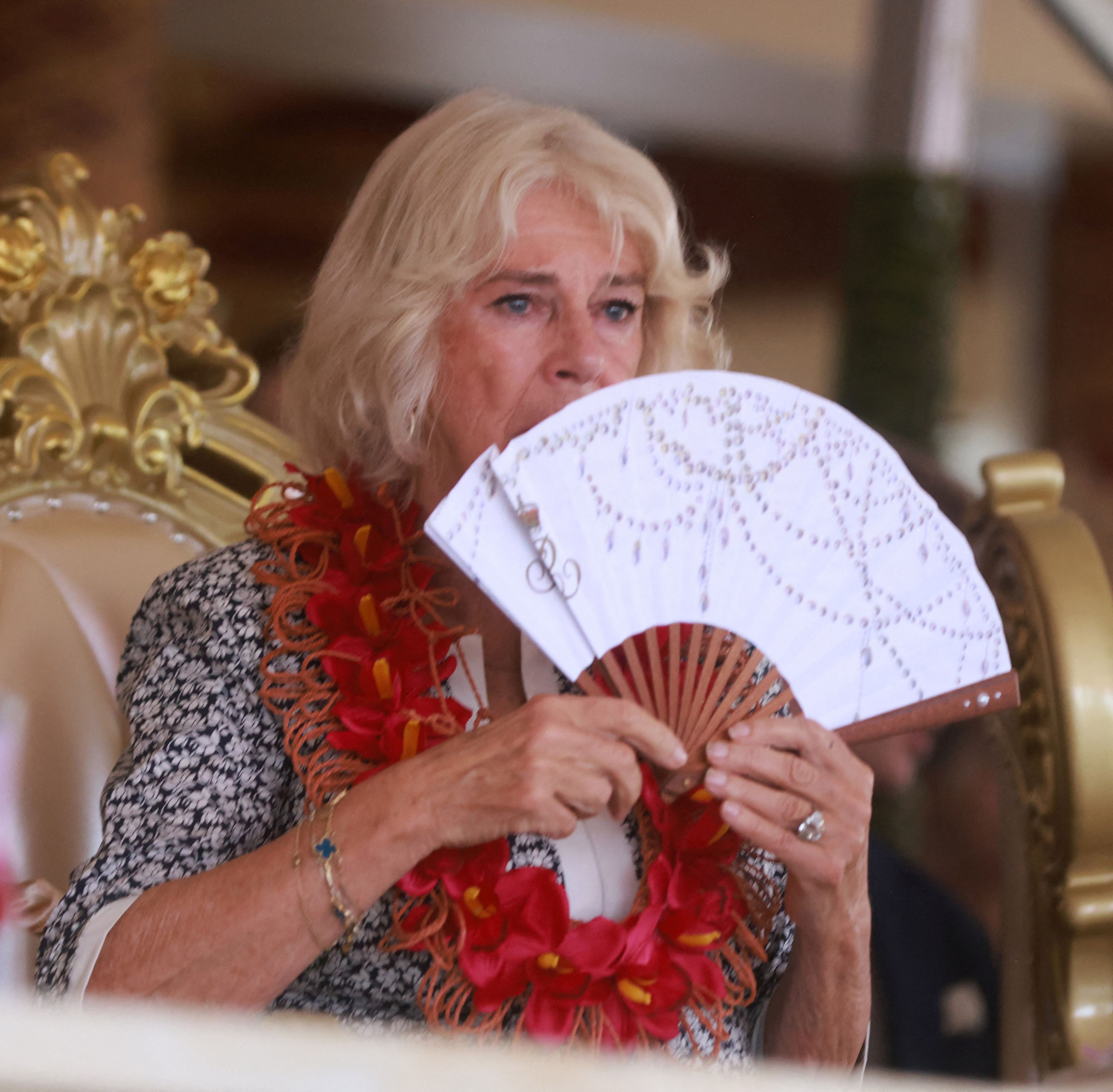 Camilla hat zwei Kinder aus erster Ehe. Doch sie feiern nicht mit den Royals Weihnachten.