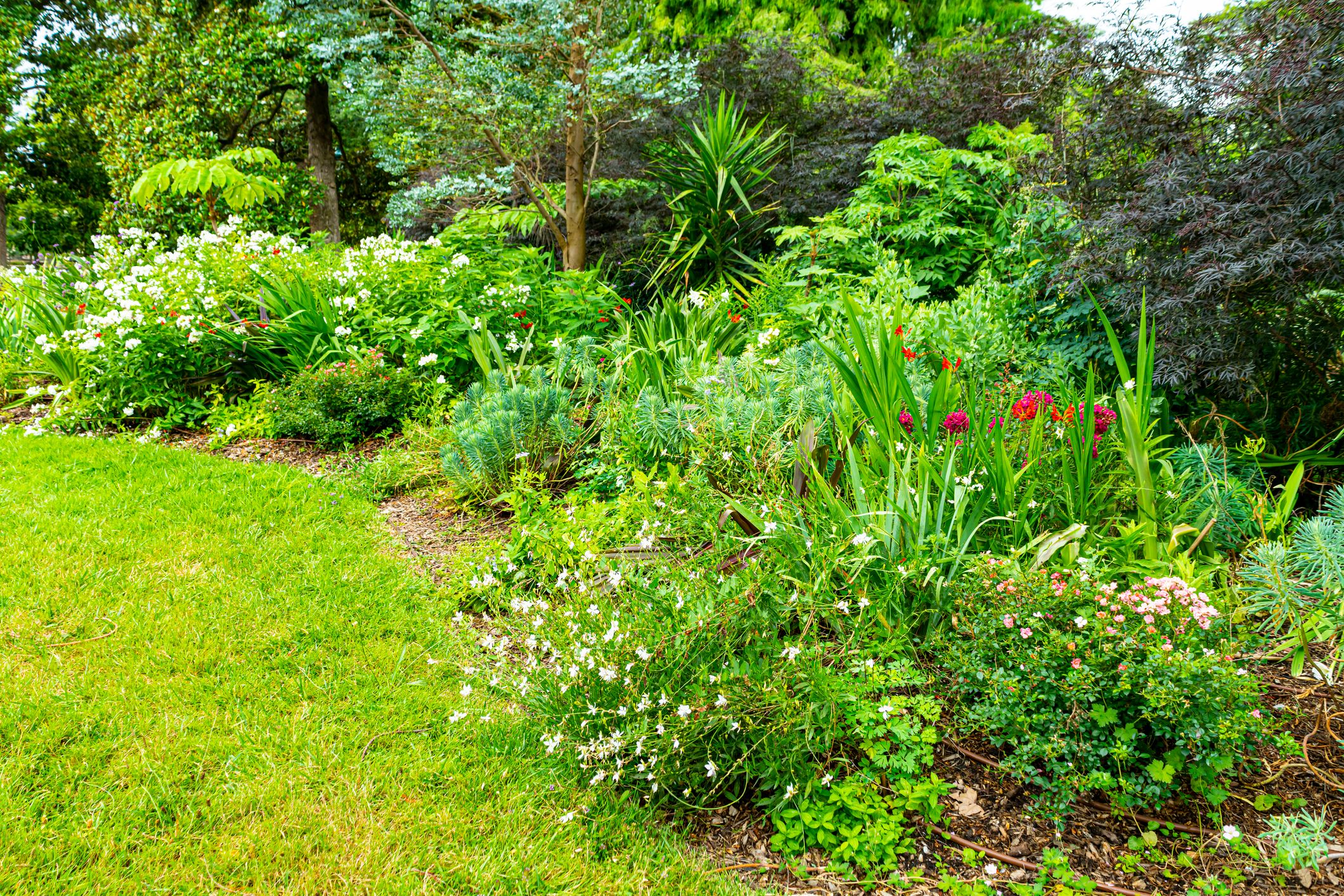 Heute.at - Natur pur im eigenen Garten