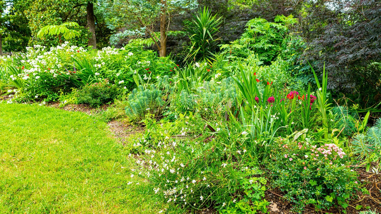 Natur pur im eigenen Garten