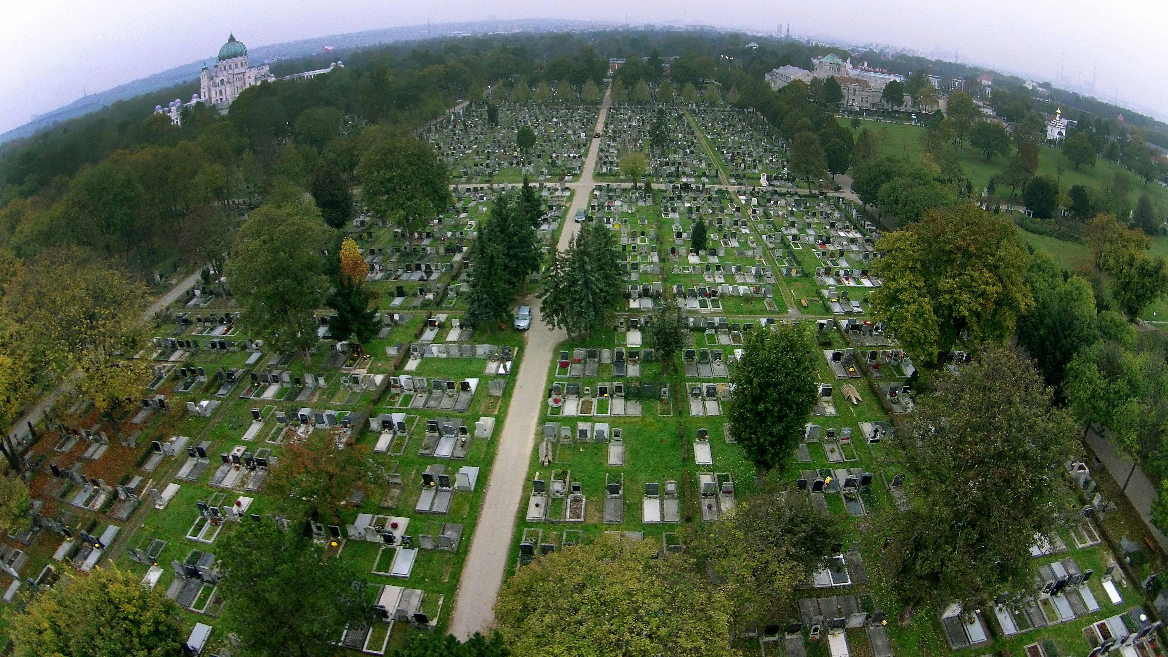 550.000 Gräber gibt es in Wien, davon sind alleine etwa 330.000 am Zentralfriedhof. Mit seinen 235 Hektar ist er der siebentgrößte Friedhof der Welt