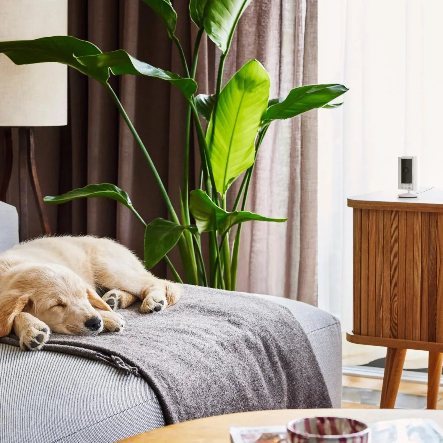 Ring bewirbt seine Kamera-Produkte mit witzigen Geschichten.