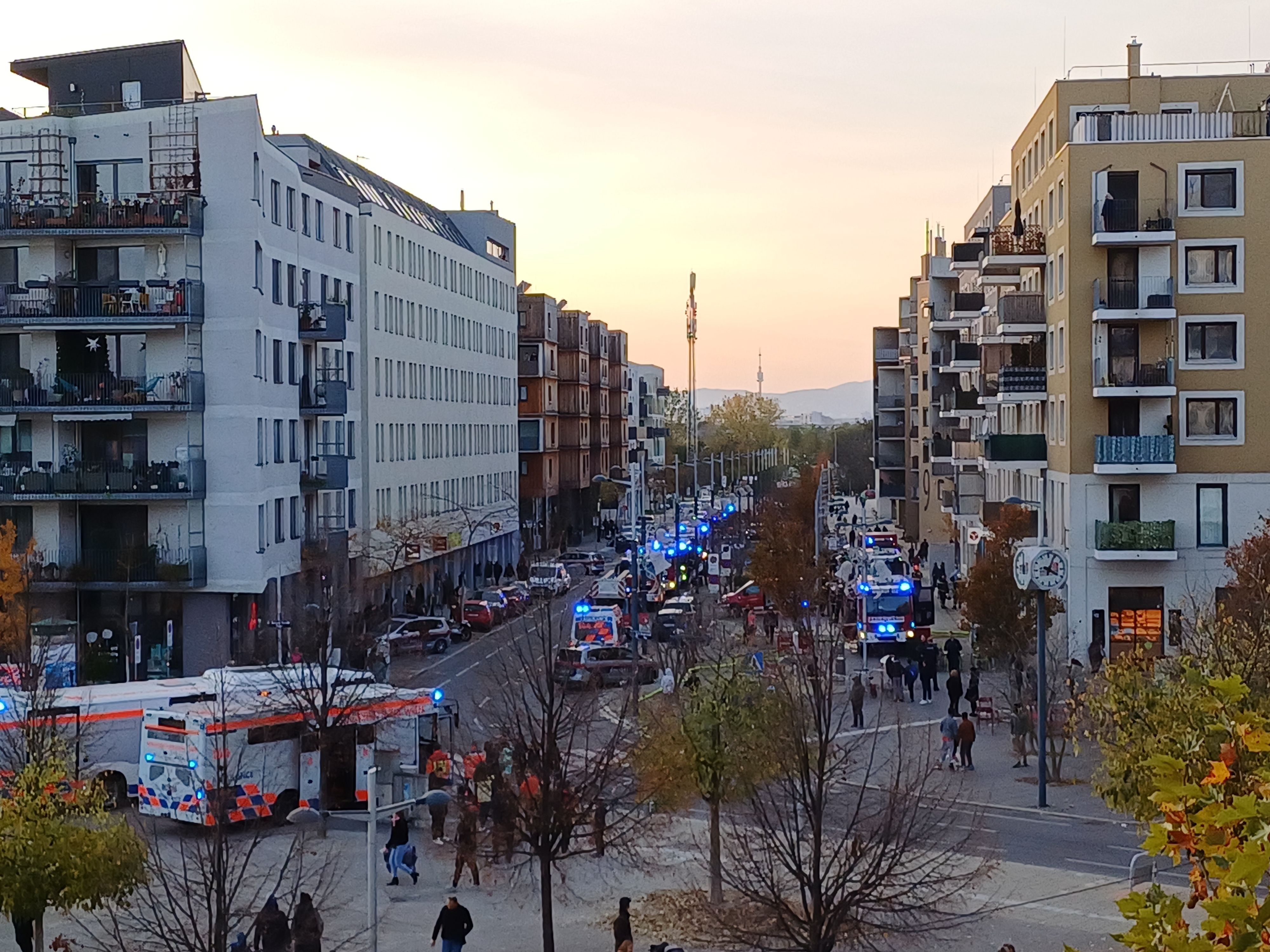 Alarm in der Seestadt! Ein Brand löste einen Großeinsatz aus.