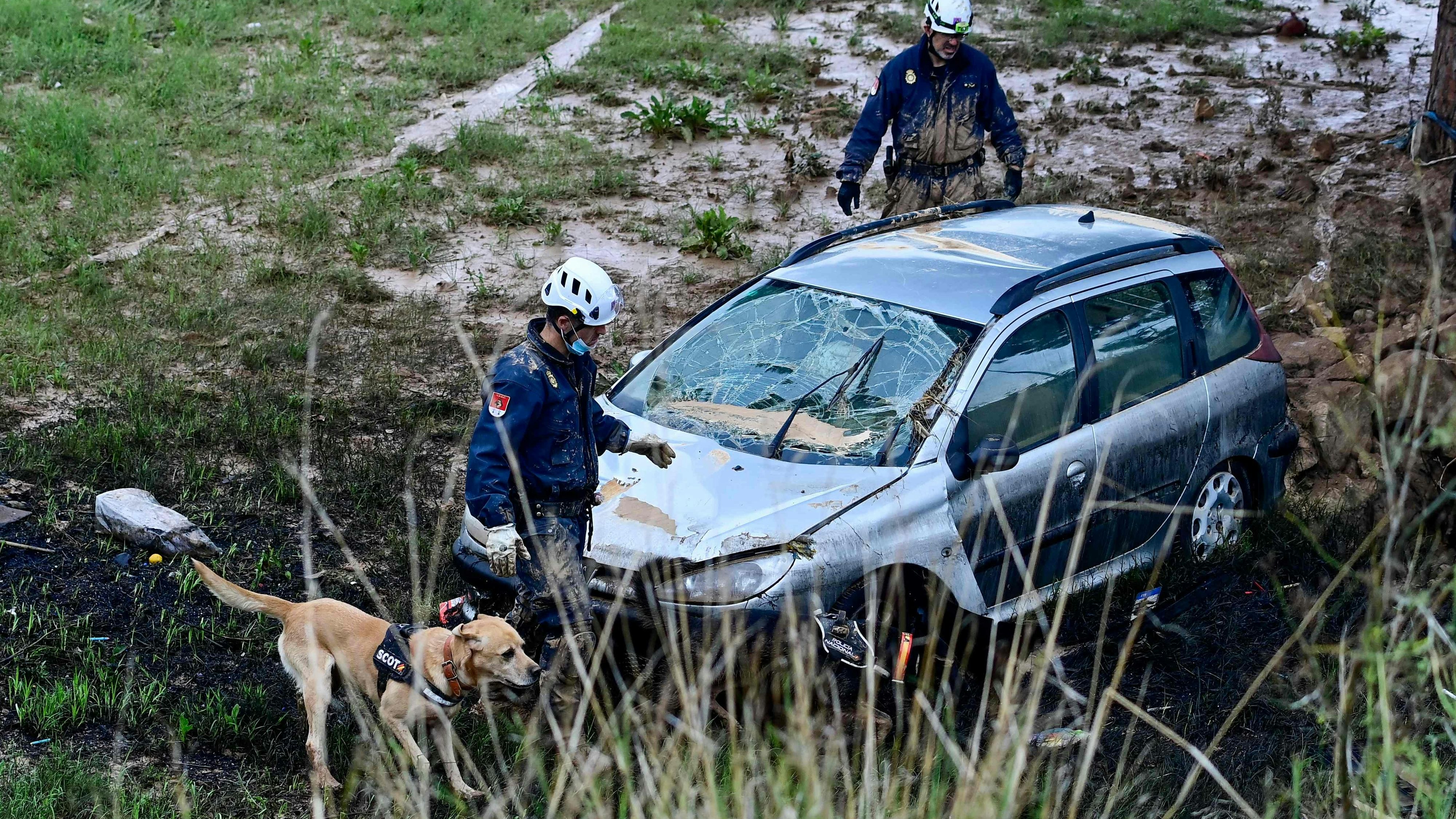 Mit Hunden suchen die Rettungskräfte nach weiteren Opfern der Katastrophe