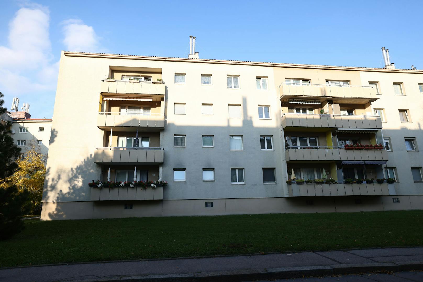 Wiener Wohnen lehnte den Austausch der Fenster mit Verweis auf "technische Funktionalität" ab.