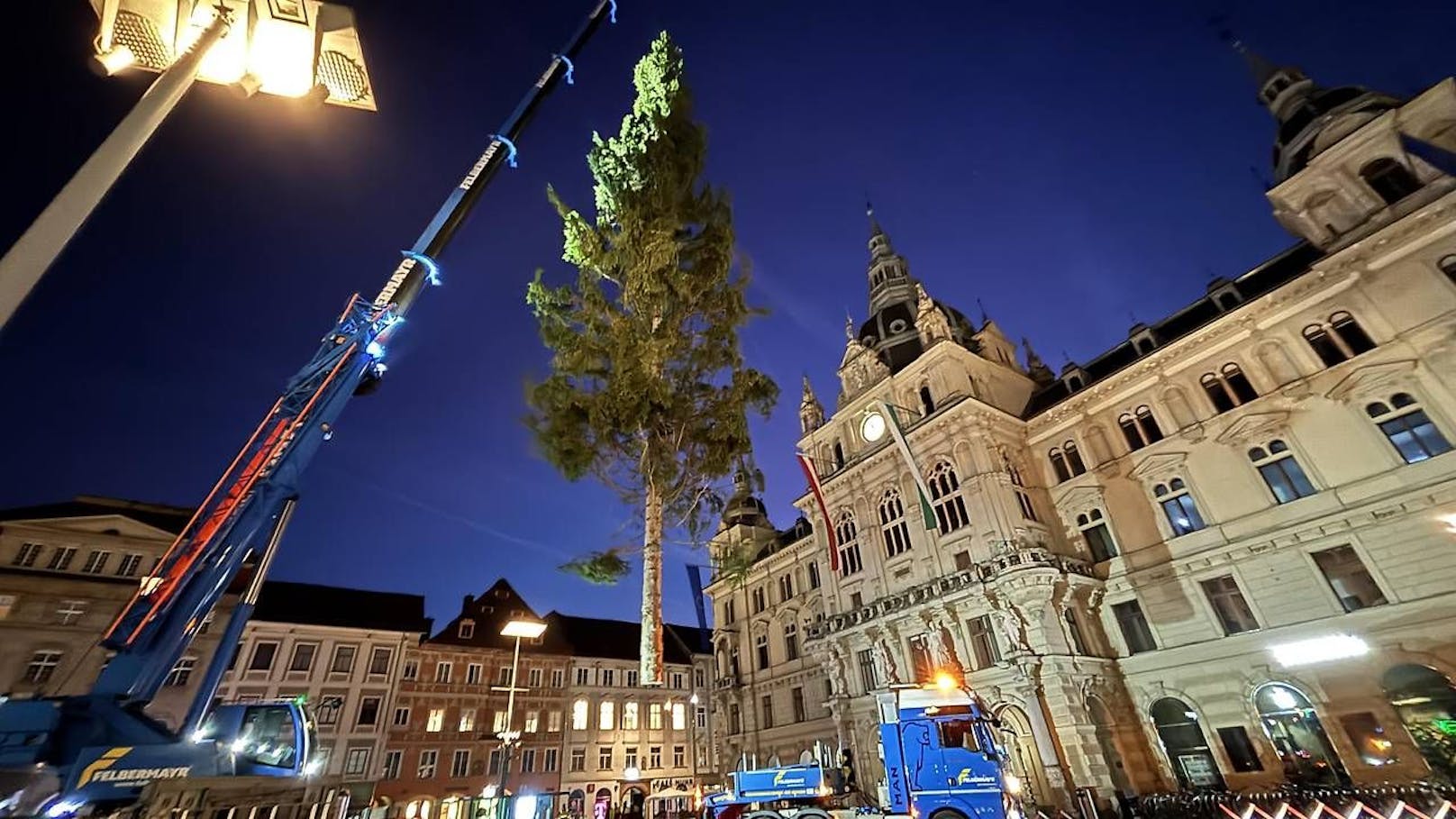 Grazer Christbaum überragt Wiener Fichte um einen Meter