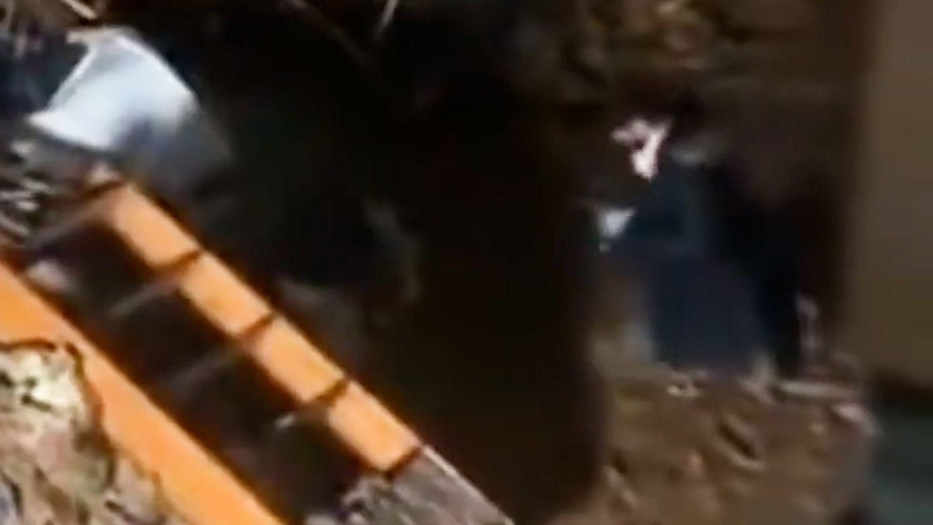 Ein Augenzeuge nahm heimlich auf, wie sich der Influencer Rubén Gisbert in den Schlamm kniete, bevor er auf Sendung ging.