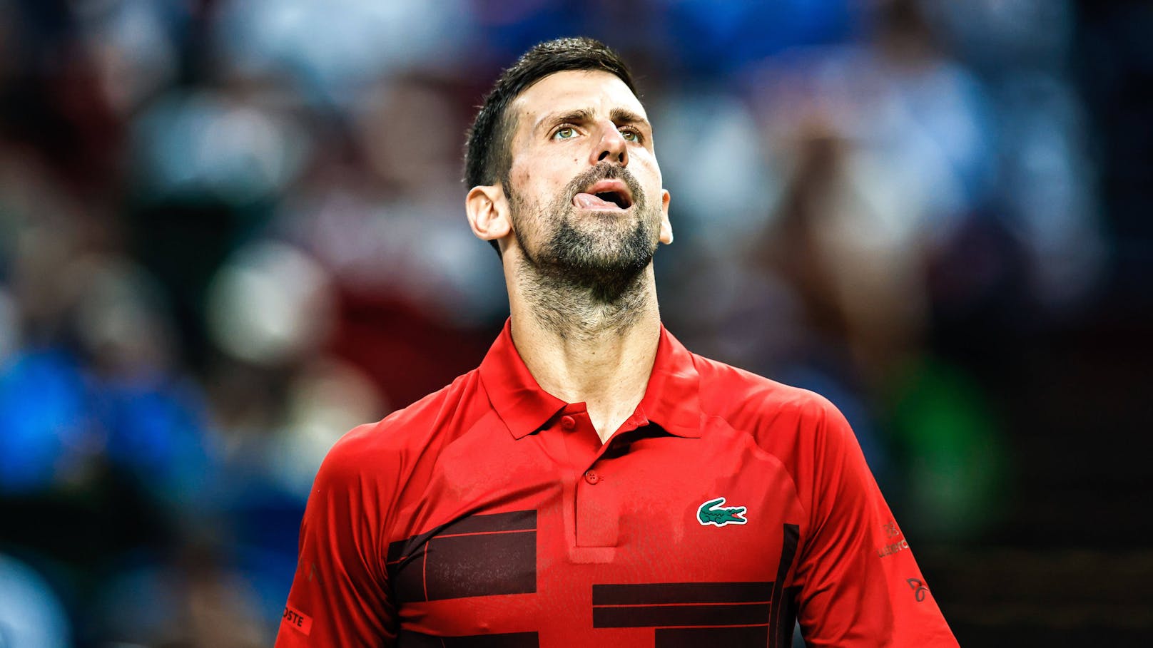 Tennis-Star Djokovic sagt Teilnahme bei ATP-Finals ab