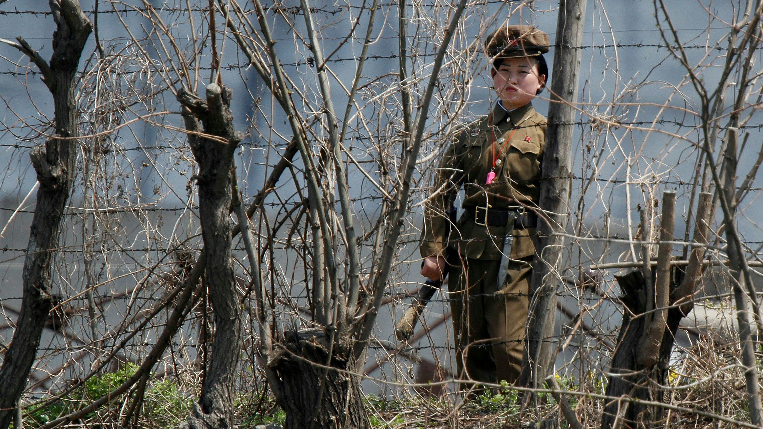 Heute.at - 11.000 Nordkoreaner an ukrainischer Grenze vermutet