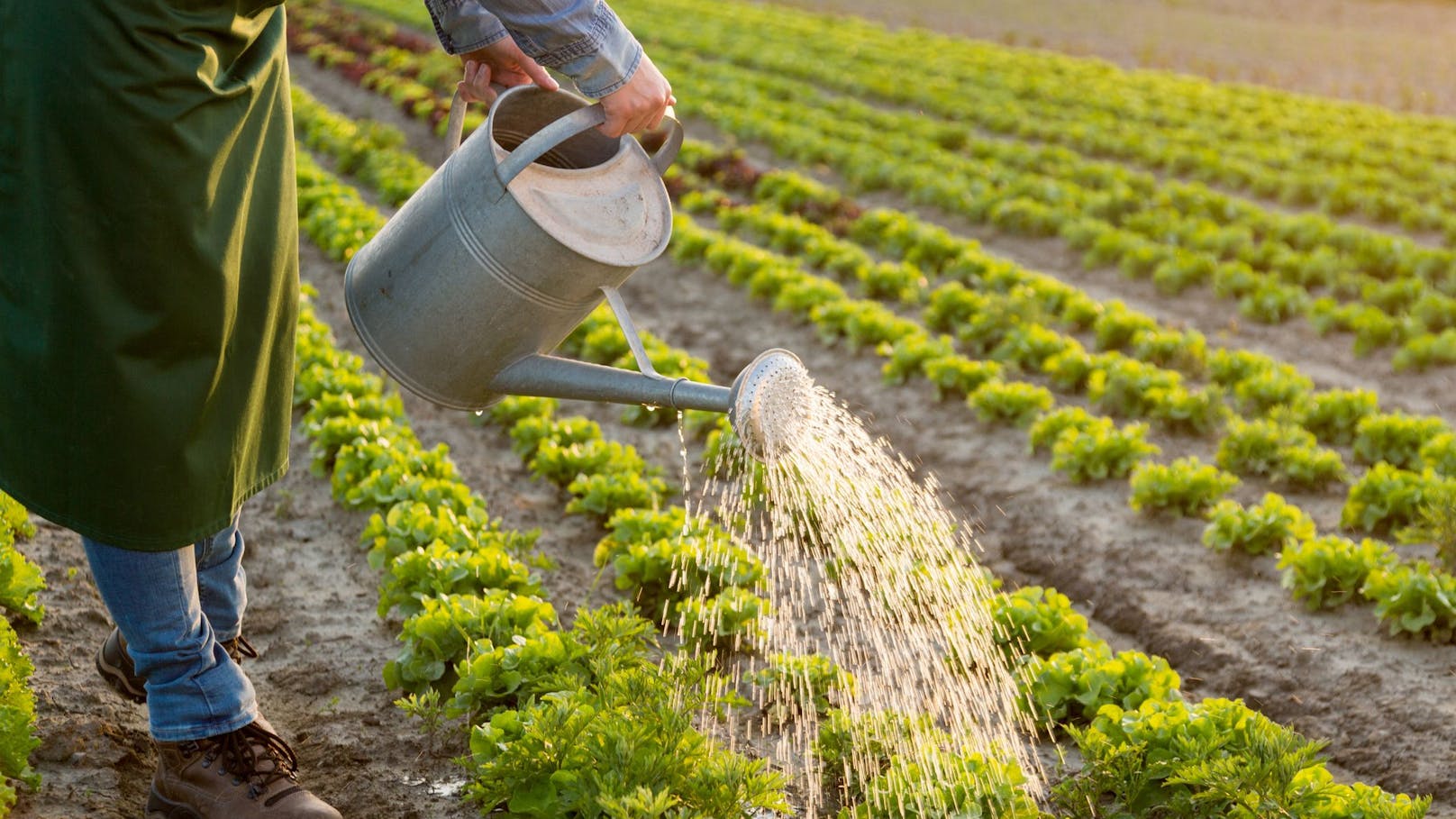 Wie richtiges Haushalten mit Wasser der Natur hilft