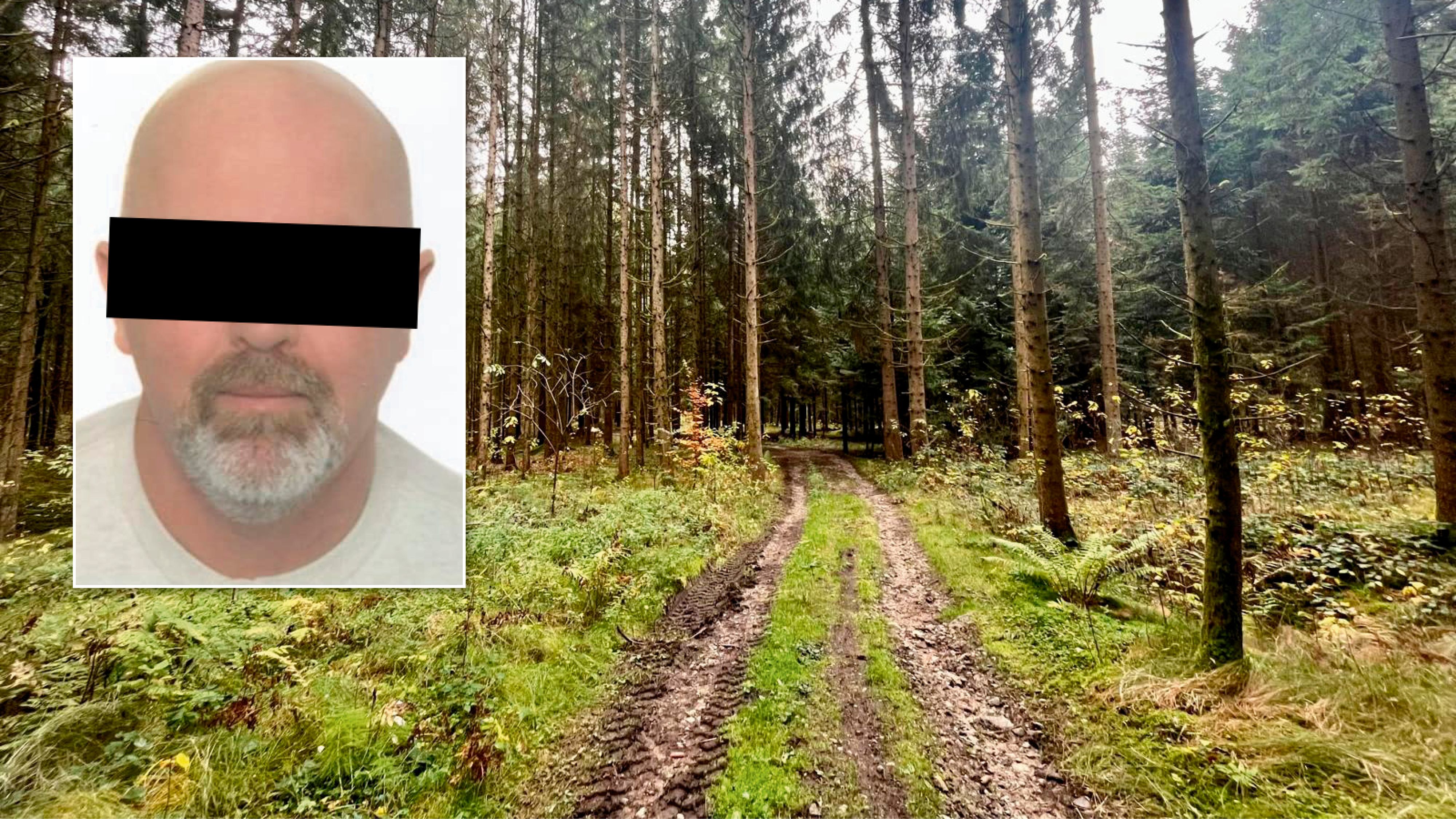 In diesem Wald nahm sich Roland D. nach den beiden Bluttaten das Leben.