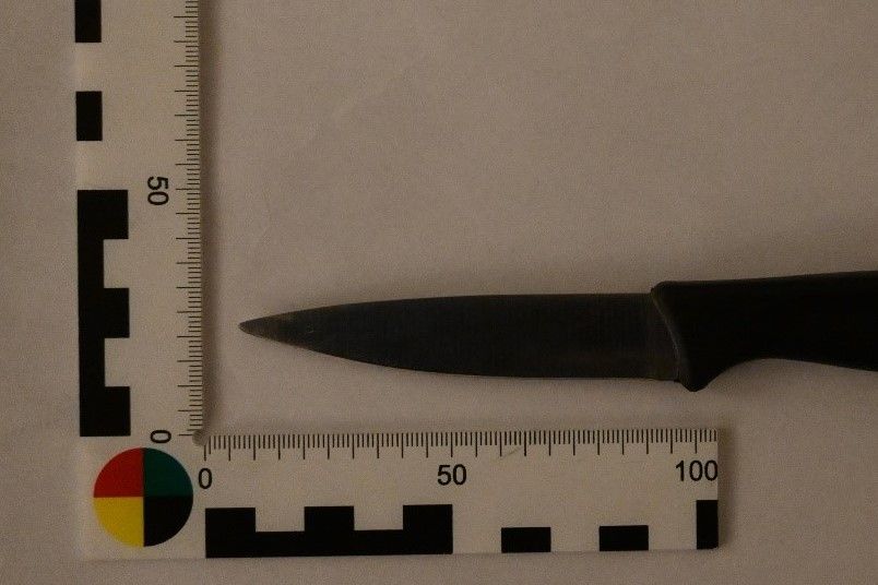 In einer Psychotherapiepraxis hat eine 42-jährige Frau einen 62-jährigen Mann mit zwei Messern schwer verletzt.